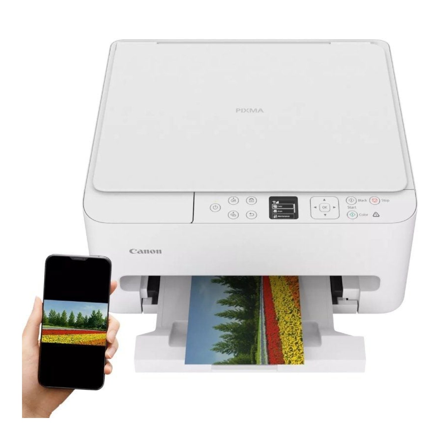 Canon PIXMA TS6550i · Multifunción Fotográfica · WiFi · Dúplex · Blanca