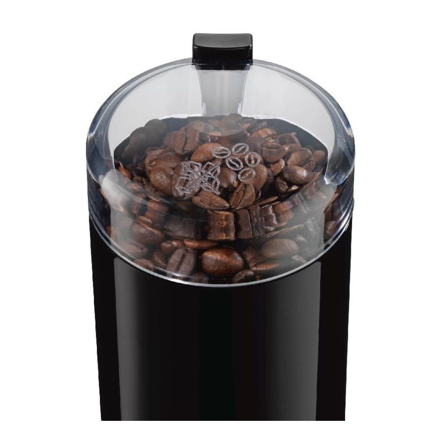 Bosch TSM6A013B · Molinillo de Café · 180W · Capacidad 110g