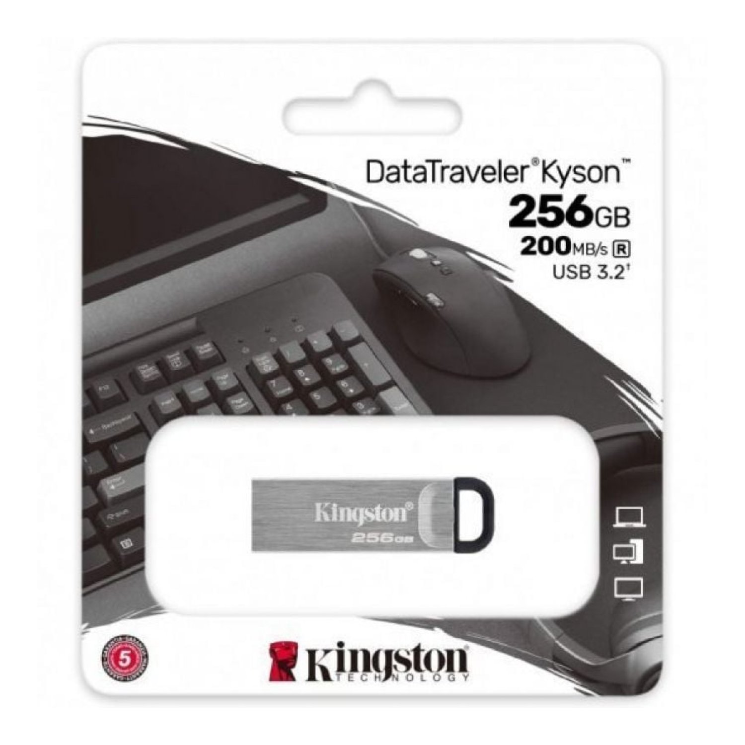 Kingston DataTraveler Kyson · 256GB · USB 3.2