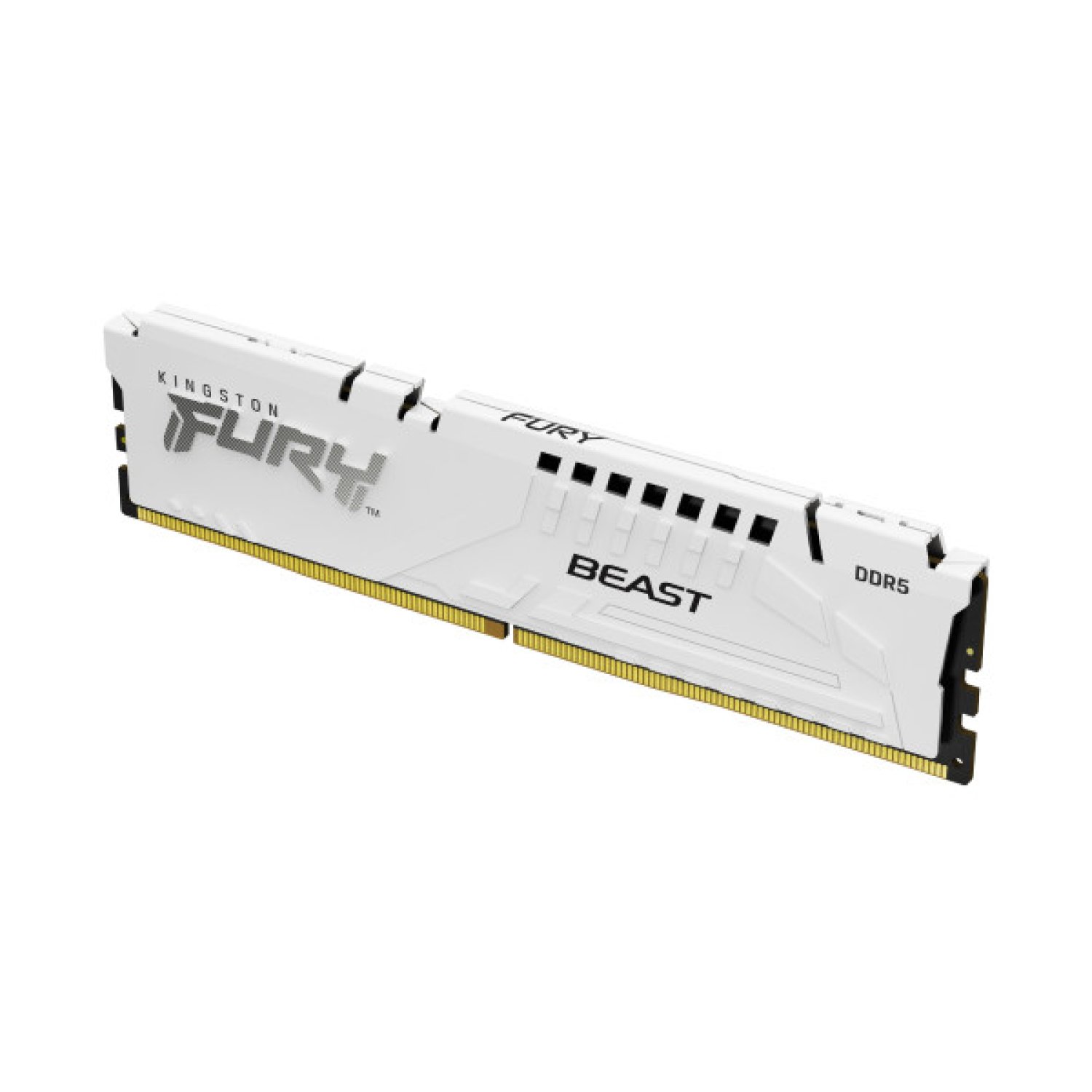 Kingston FURY Beast · 32GB · DDR5 · 1x32GB