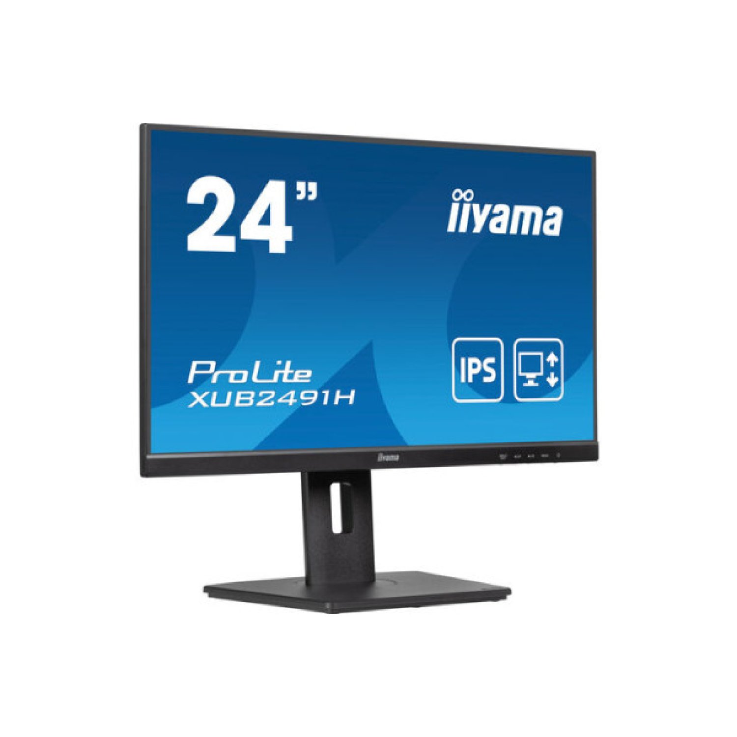 Iiyama Monitor 24" · Panel IPS · 100Hz · HDMI · DisplayPort · Regulable