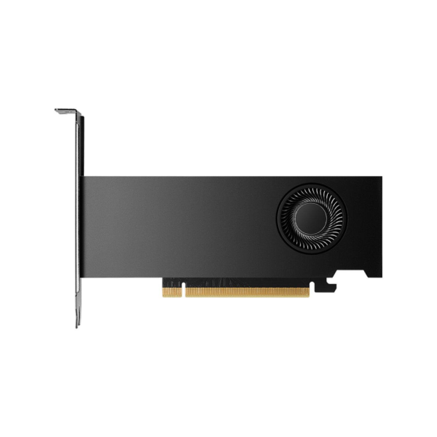 PNY NVIDIA RTX 2000 Ada · 16GB GDDR6 · Tarjeta Gráfica Profesional
