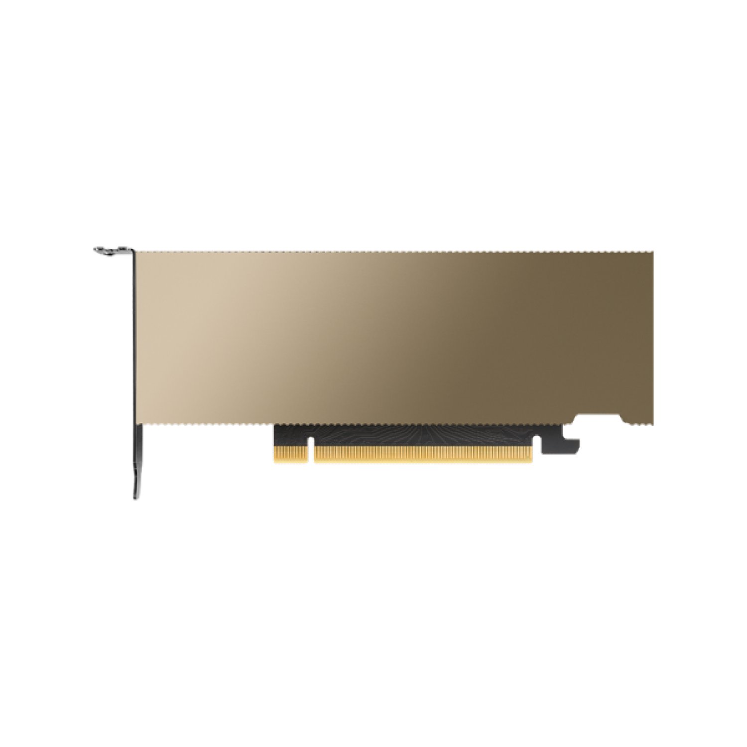 PNY L4 · Tarjeta Gráfica · NVIDIA · 24GB GDDR6