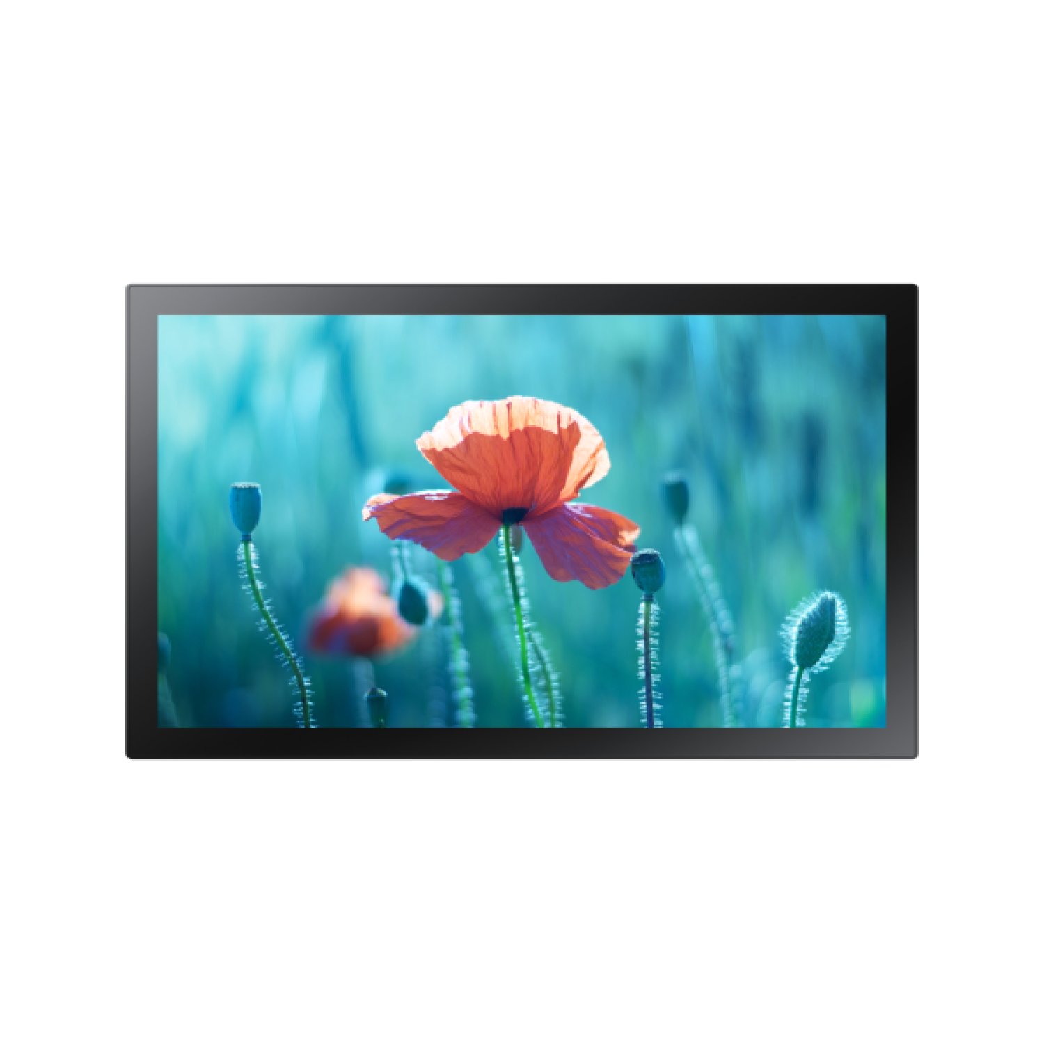 Samsung QB13R-TM · Panel Interactivo 13" · Full HD · 500 cd/m² · WiFi · Táctil · Tizen 4.0