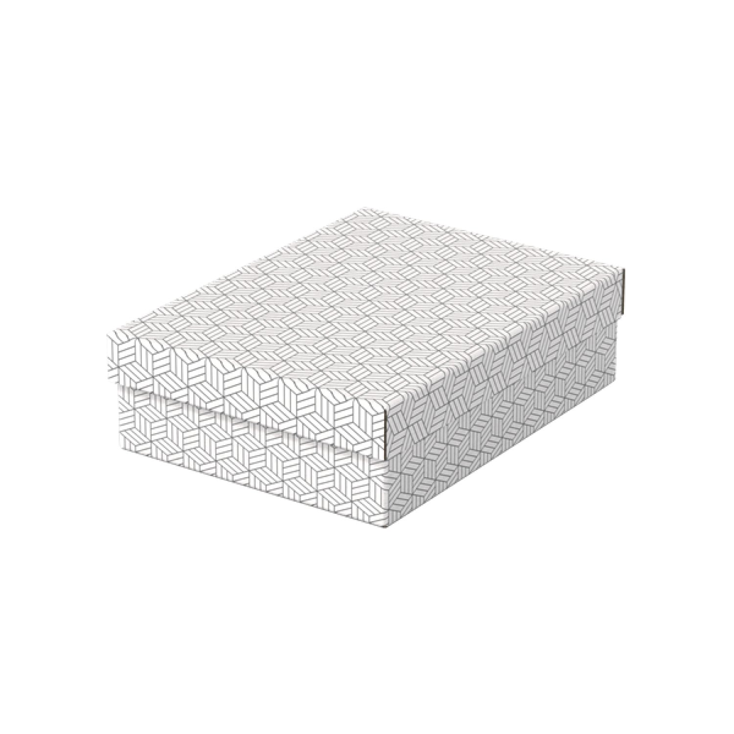 Esselte · Pack 3 Cajas Almacenamiento · 360x265x100mm · Blancas
