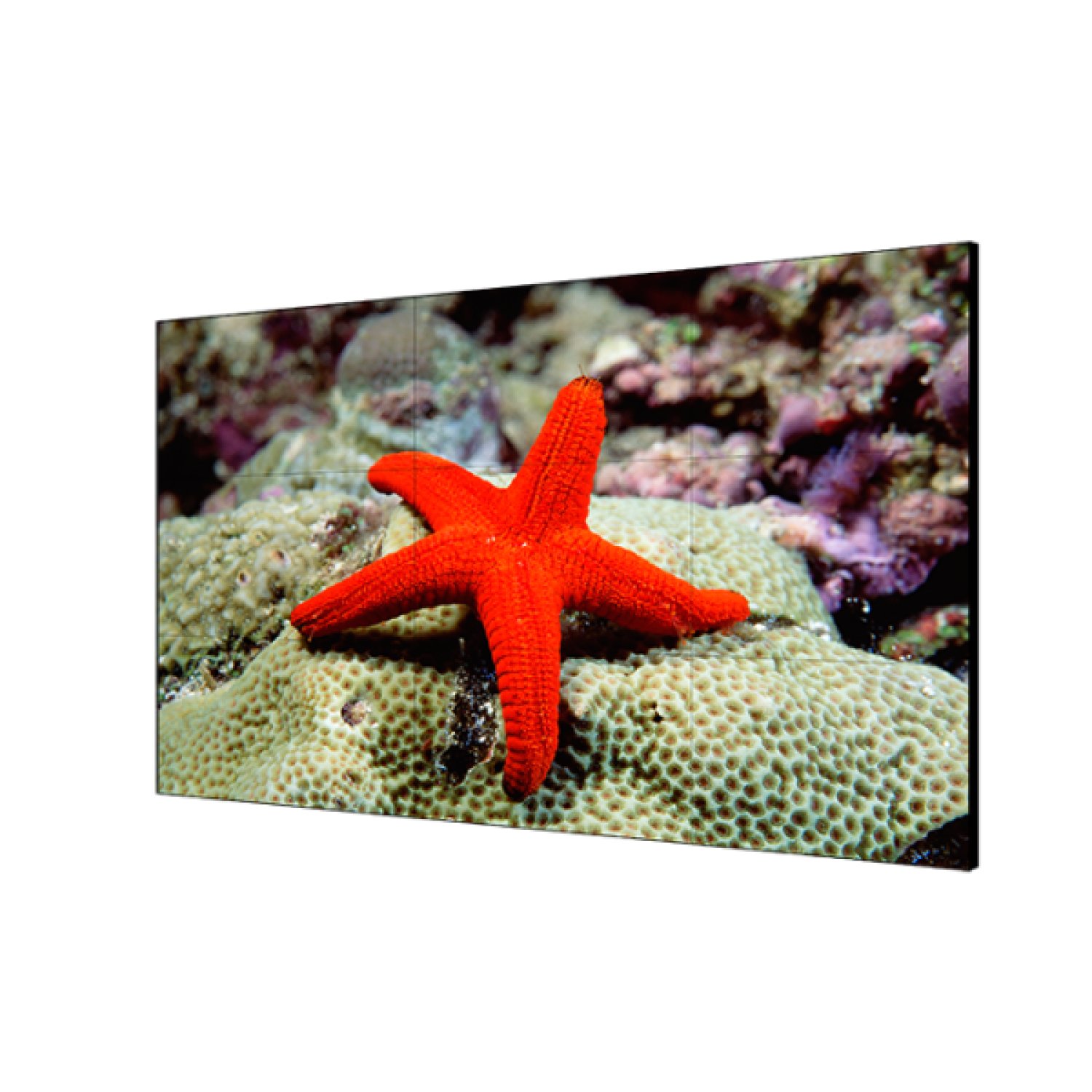 Hikvision · Pantalla Mural LCD · 55" · Interior · Videowall Profesional