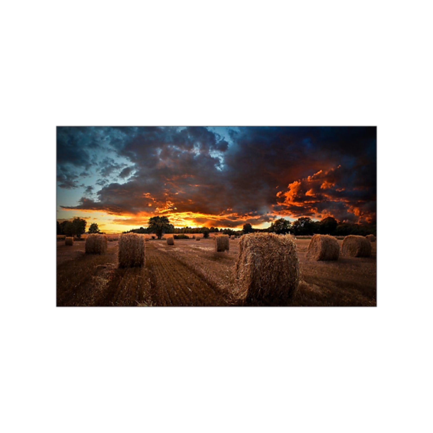 Samsung VM55B-U · Pantalla Profesional · 55" · 4K UHD · Interior