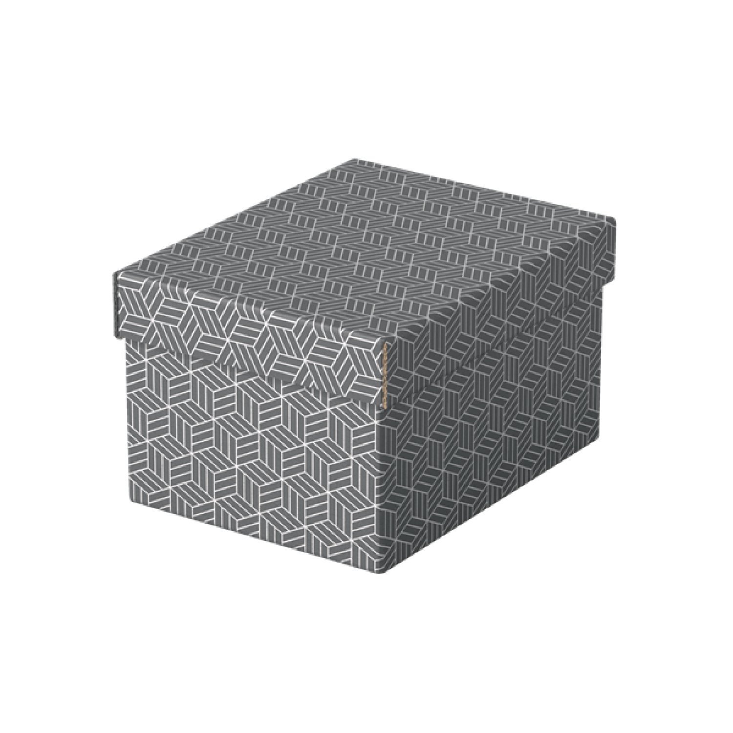 Esselte · Pack 3 Cajas Archivo · 255x200x150mm · Gris