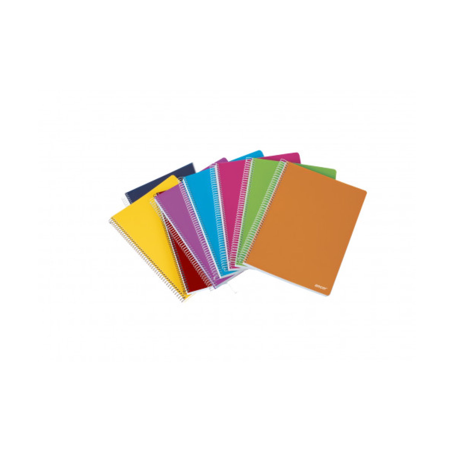 Ancor · Cuaderno Folio · Tapa Polipropileno · 80 Hojas 90g · Q4x4