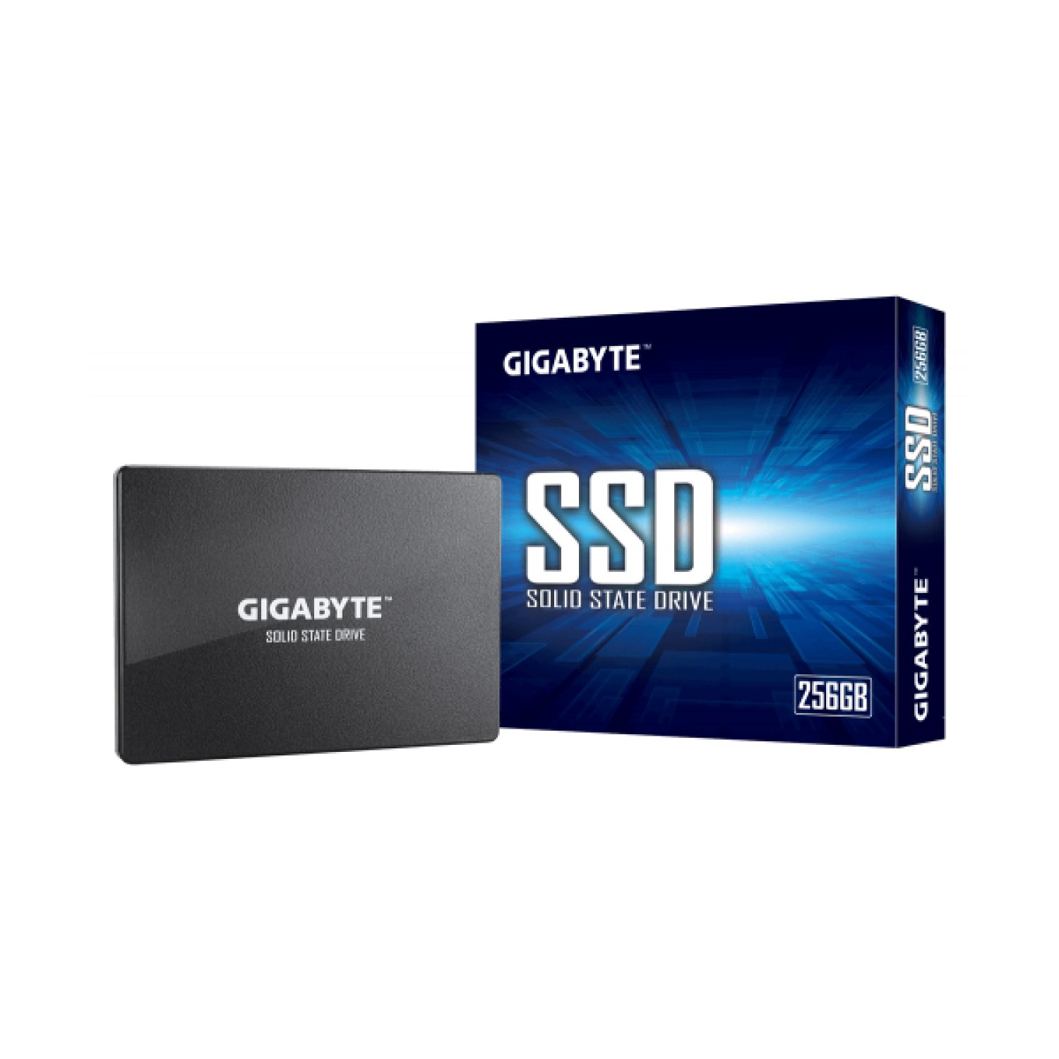 Gigabyte · SSD 2,5" · 256GB · Serial ATA III · V-NAND