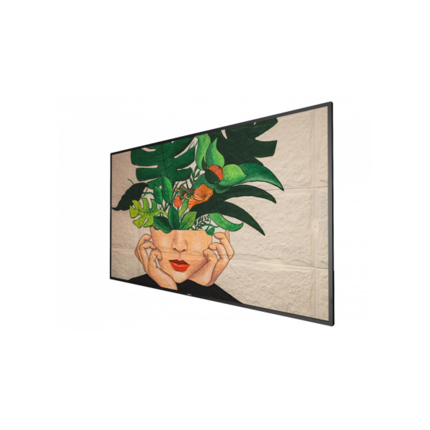 Philips 55BDL4511D · Monitor 4K Professional · 3840x2160 · Panel VA · 500cd/m² · 8ms