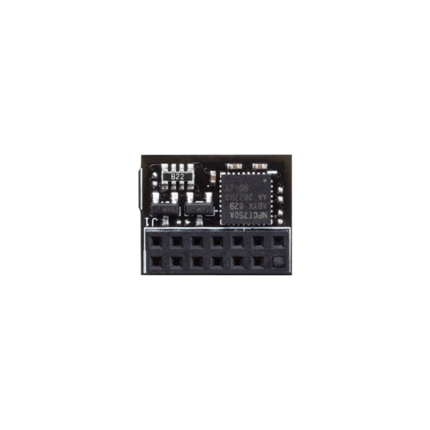 ASUS TPM-SPI · Módulo de Seguridad · Interfaz Interna