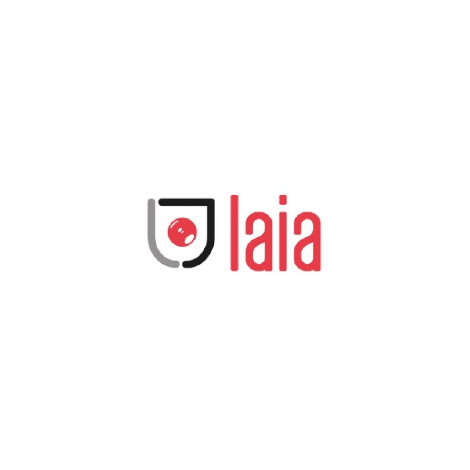 LAIA Soporte Universal Pared · Hierro Galvanizado Negro · Ajustable