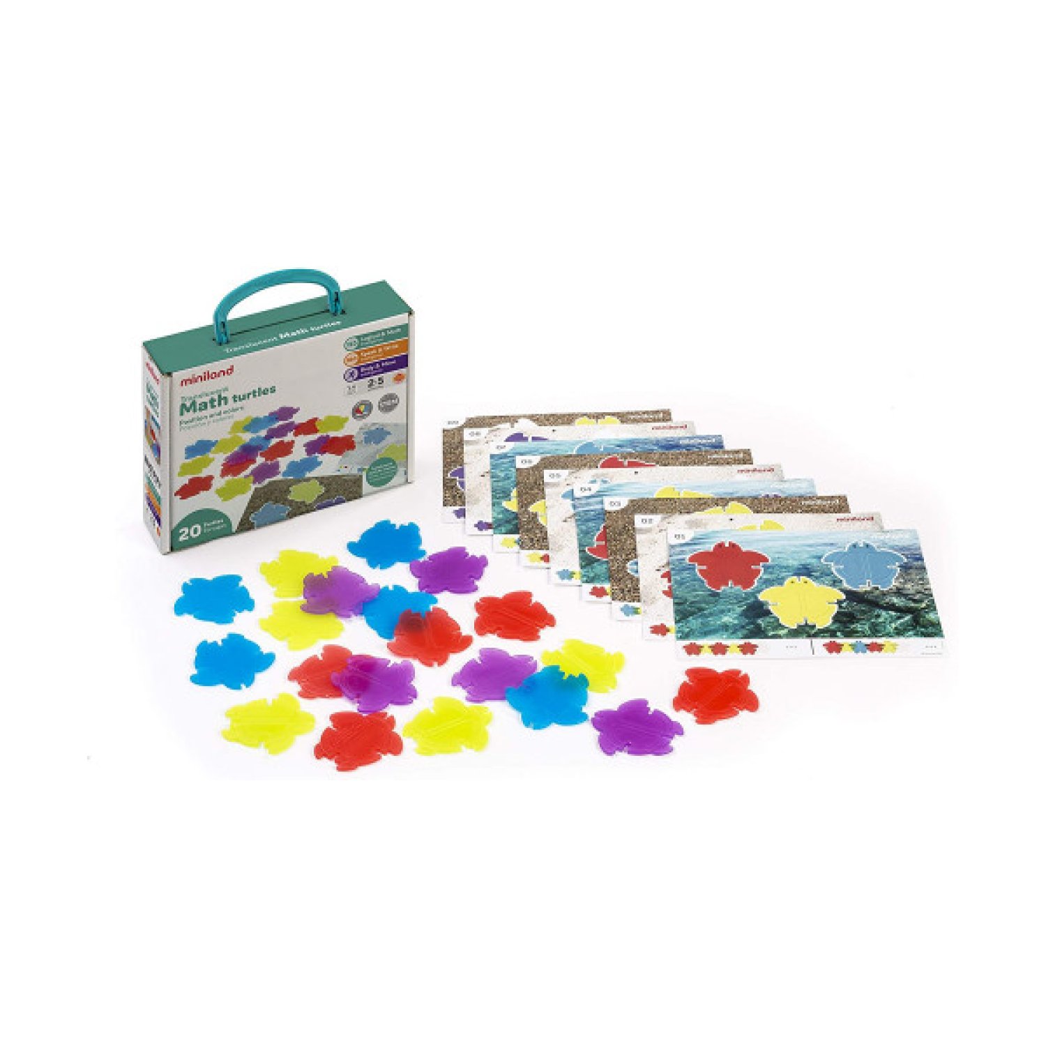 Miniland · Tortugas de Matemáticas Translúcidas · Juego Educativo de Colores