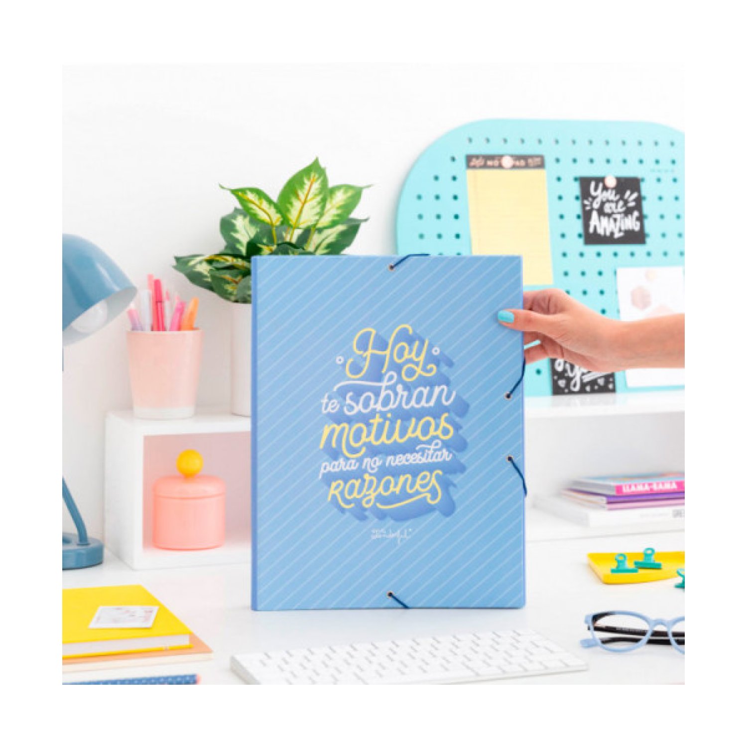 CARPETA CARTON SEPARADORA CON GOMA ELASTICA "HOY TE SOBRAN MOTIVOS PARA.. "MR.WONDERFUL WOA09755ES