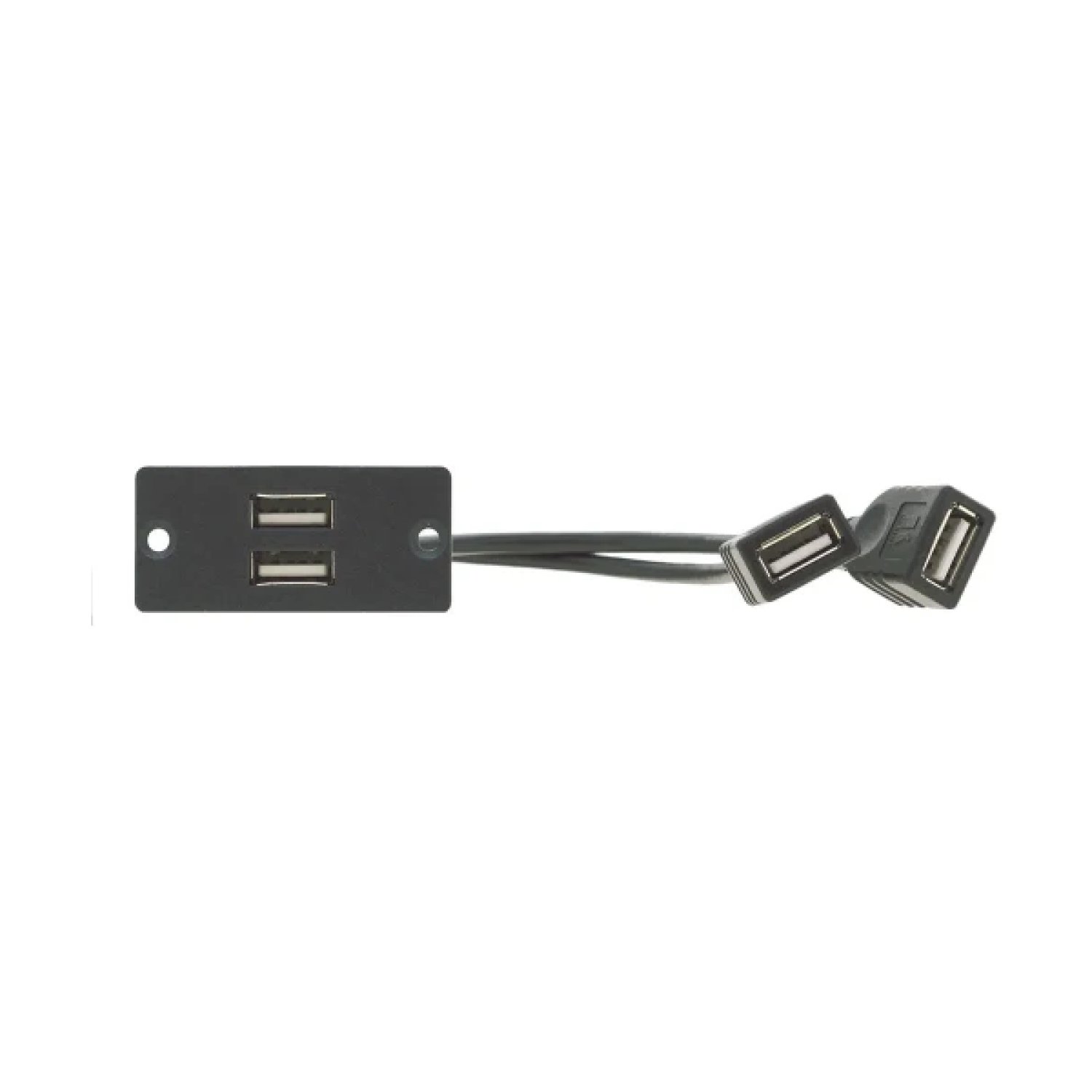 KRAMER Wall Plate de Inserción 2 x USB 2.0 (A/A) (WU-2AA)