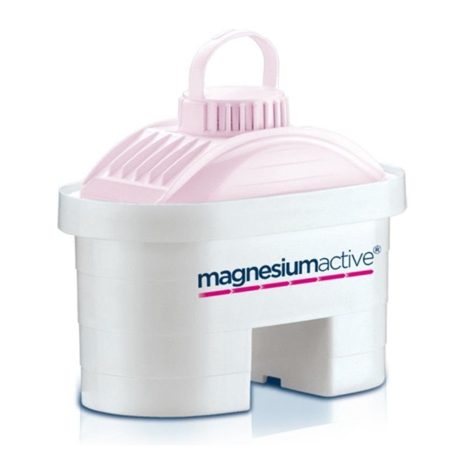 Filtros BI-FLUX Laica Magnesiumactive G2M/ Pack 2