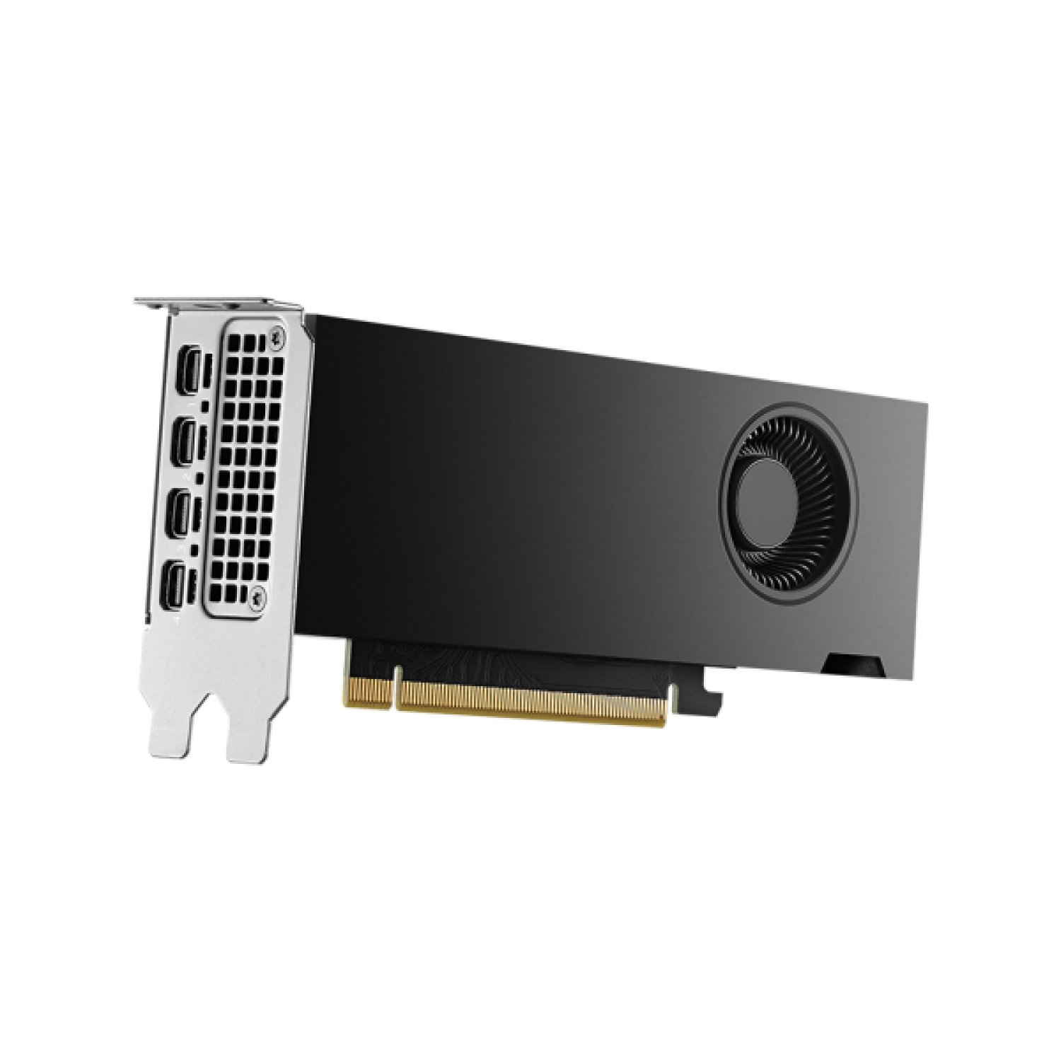 PNY VCNRTX2000ADA-PL tarjeta gráfica NVIDIA RTX 2000 Ada 16 GB GDDR6