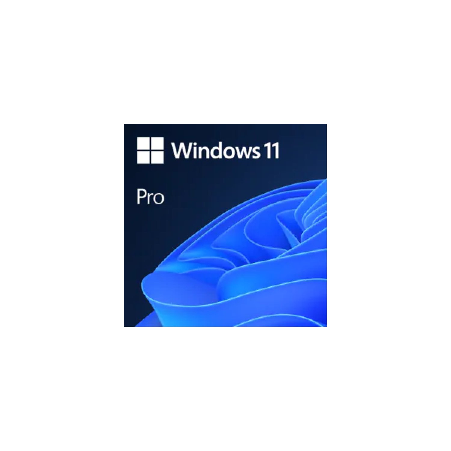 Microsoft Windows 11 Pro 1 licencia(s)