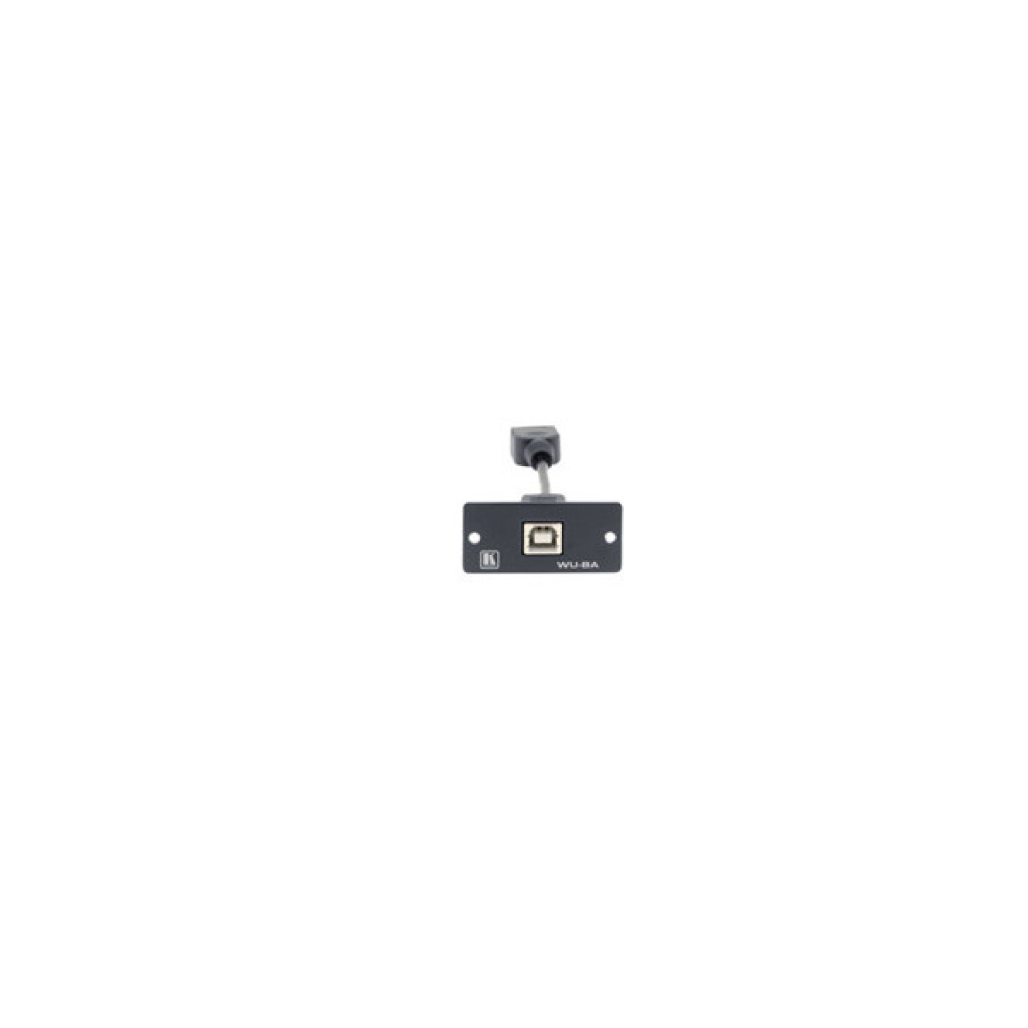 Kramer Electronics Wall Plate Insert - USB (B/A) caja de tomacorriente Negro
