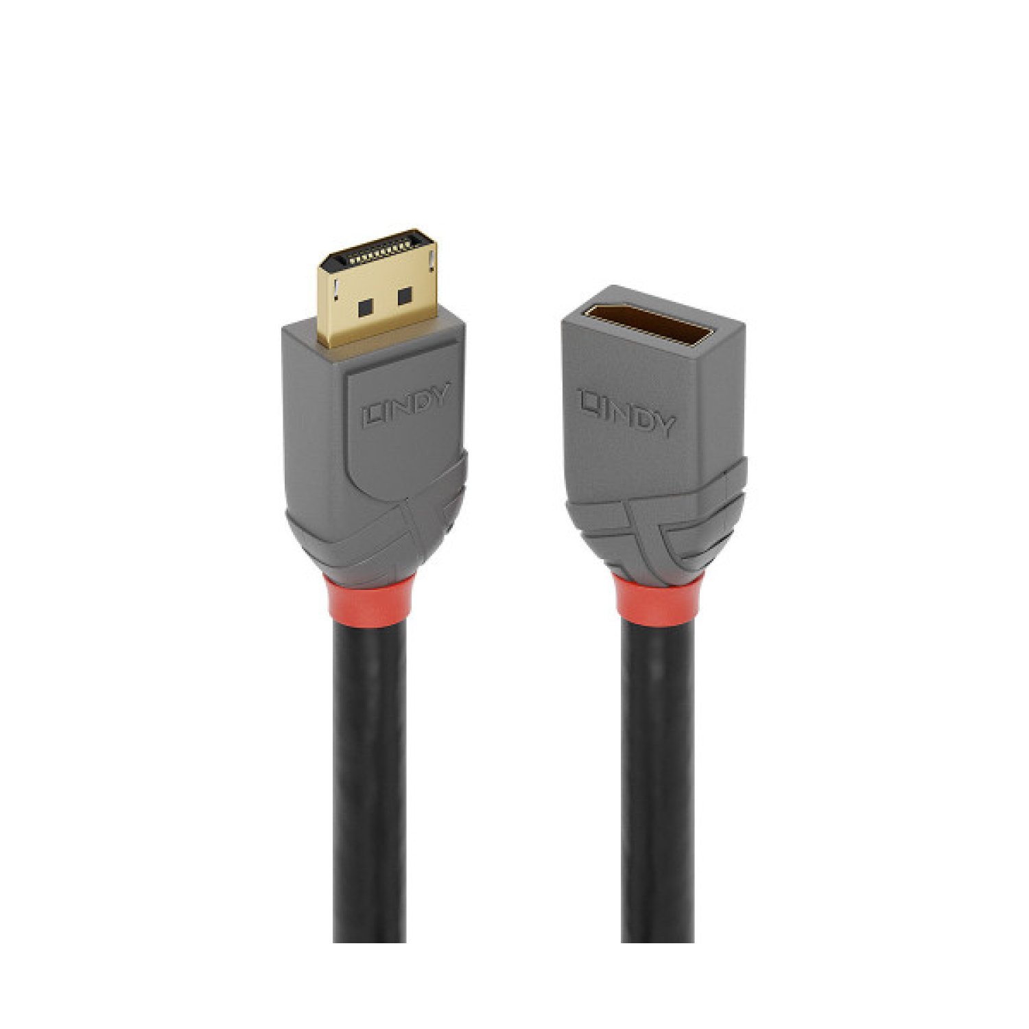 Lindy 36498 cable DisplayPort 3 m Negro