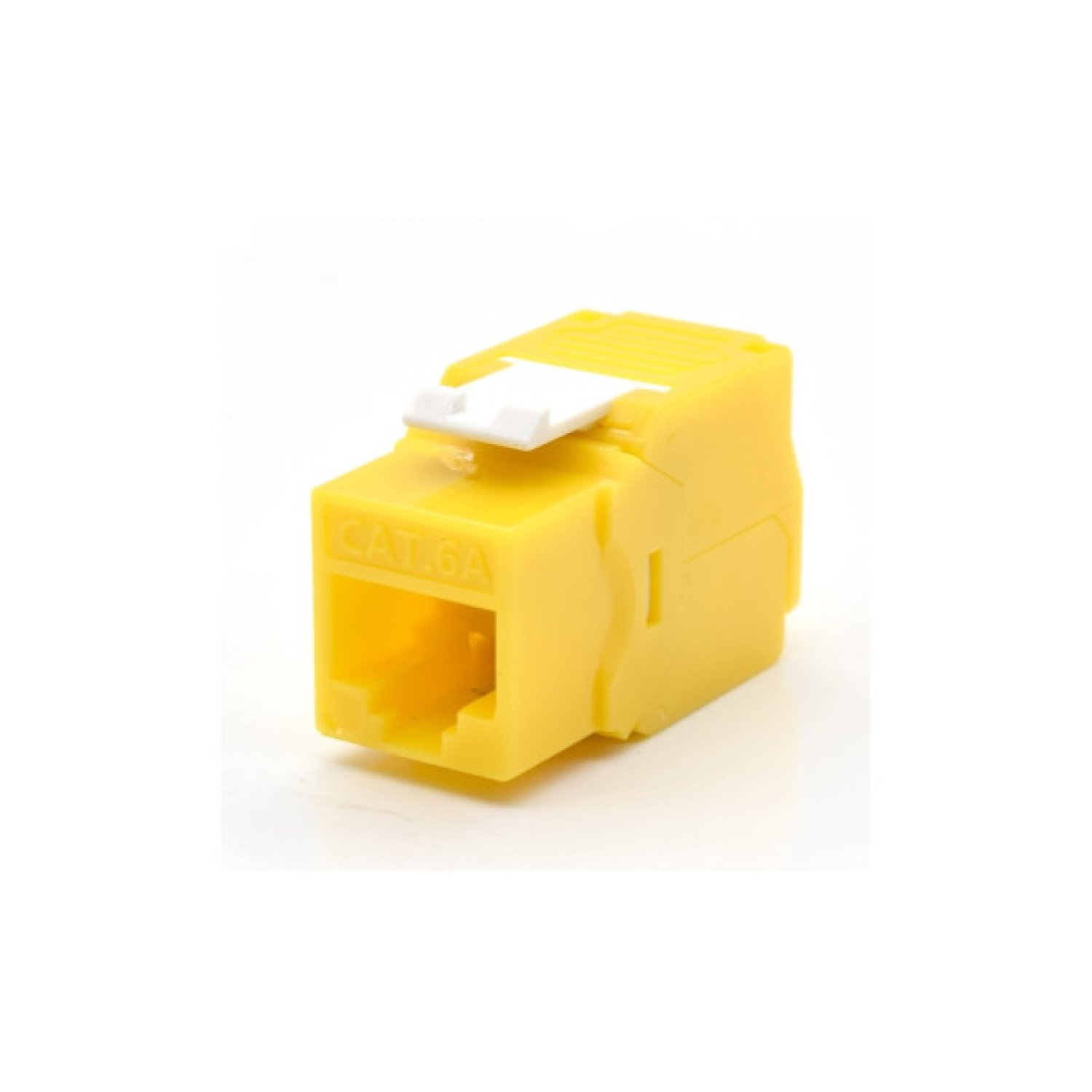 WP WPC-KEY-6AUP-TL/Y módulo de conector de red
