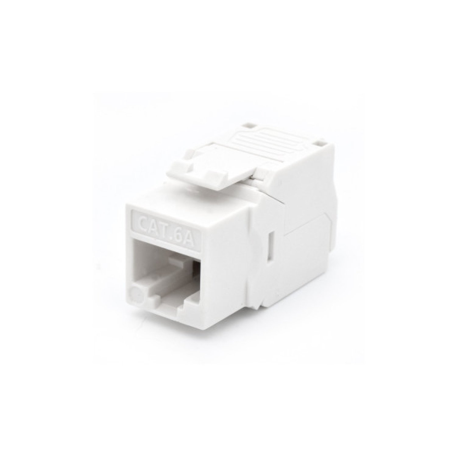WP WPC-KEY-6AUP-TL/W módulo de conector de red