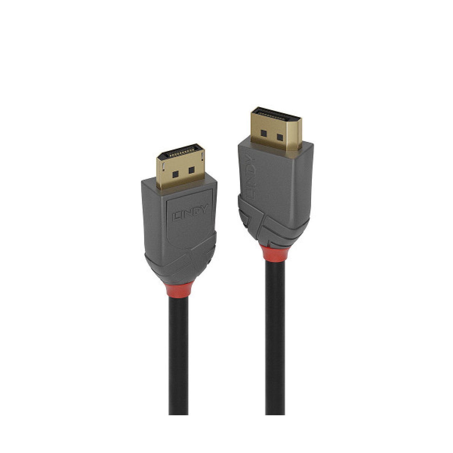Lindy 36482 cable DisplayPort 2 m Negro