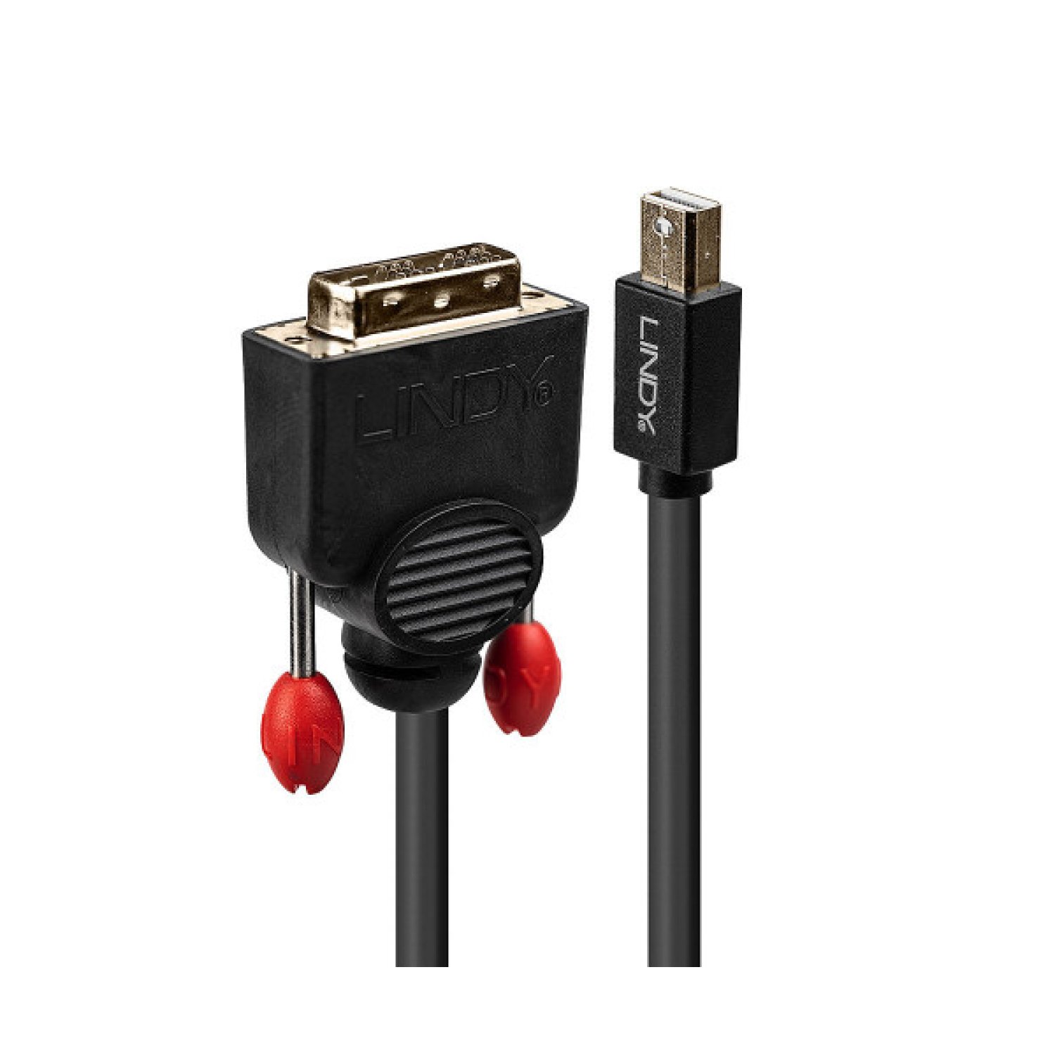Lindy 41952 adaptador de cable de vídeo 2 m Mini DisplayPort DVI-D Negro