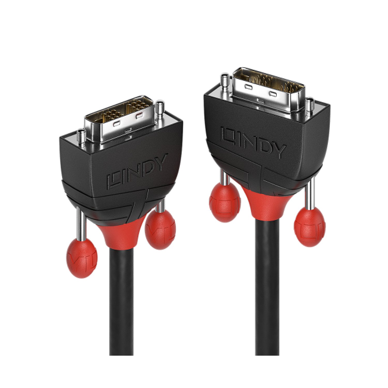 Lindy 36258 cable DVI 5 m DVI-D Negro
