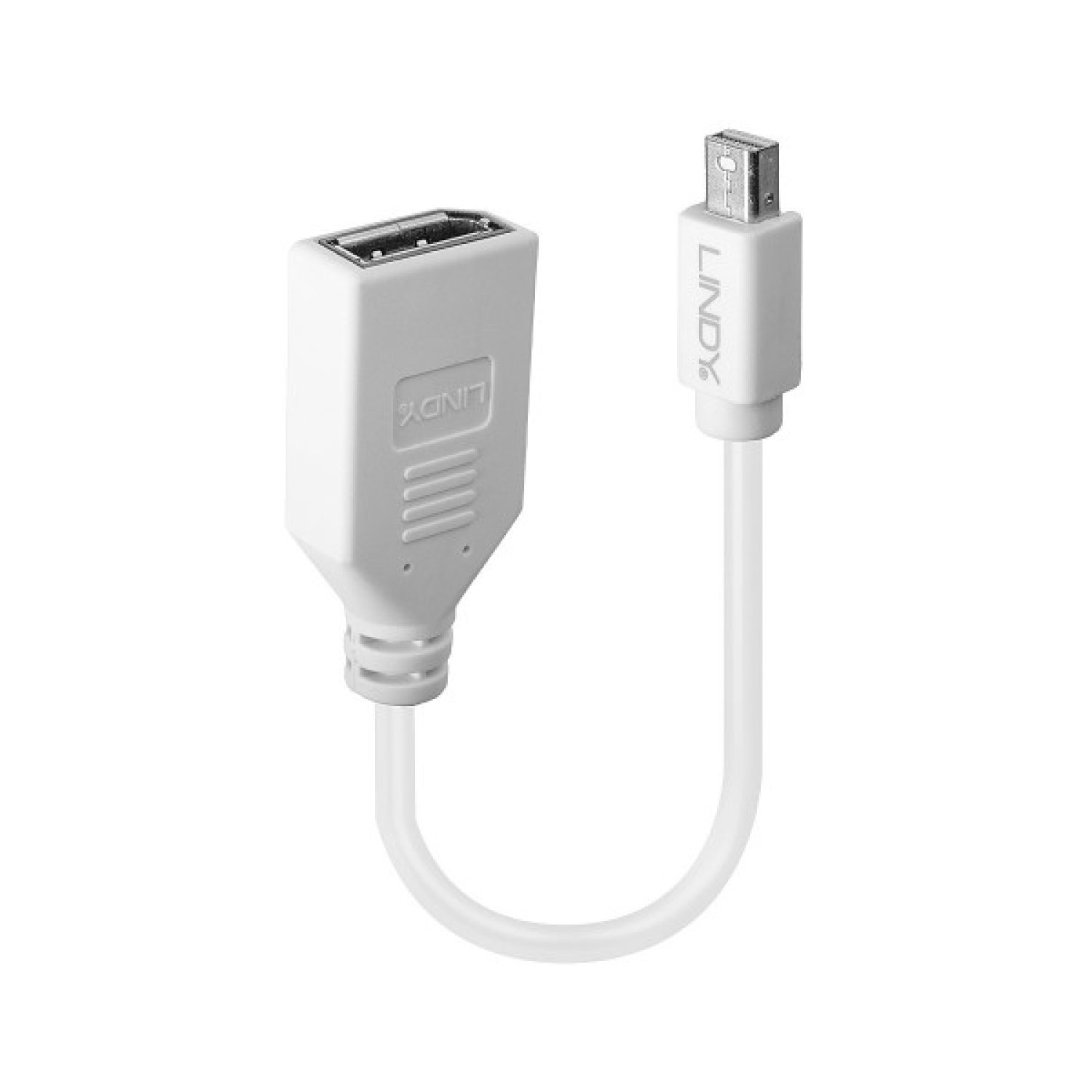 Lindy 41021 cable DisplayPort 0,15 m Mini DisplayPort Blanco
