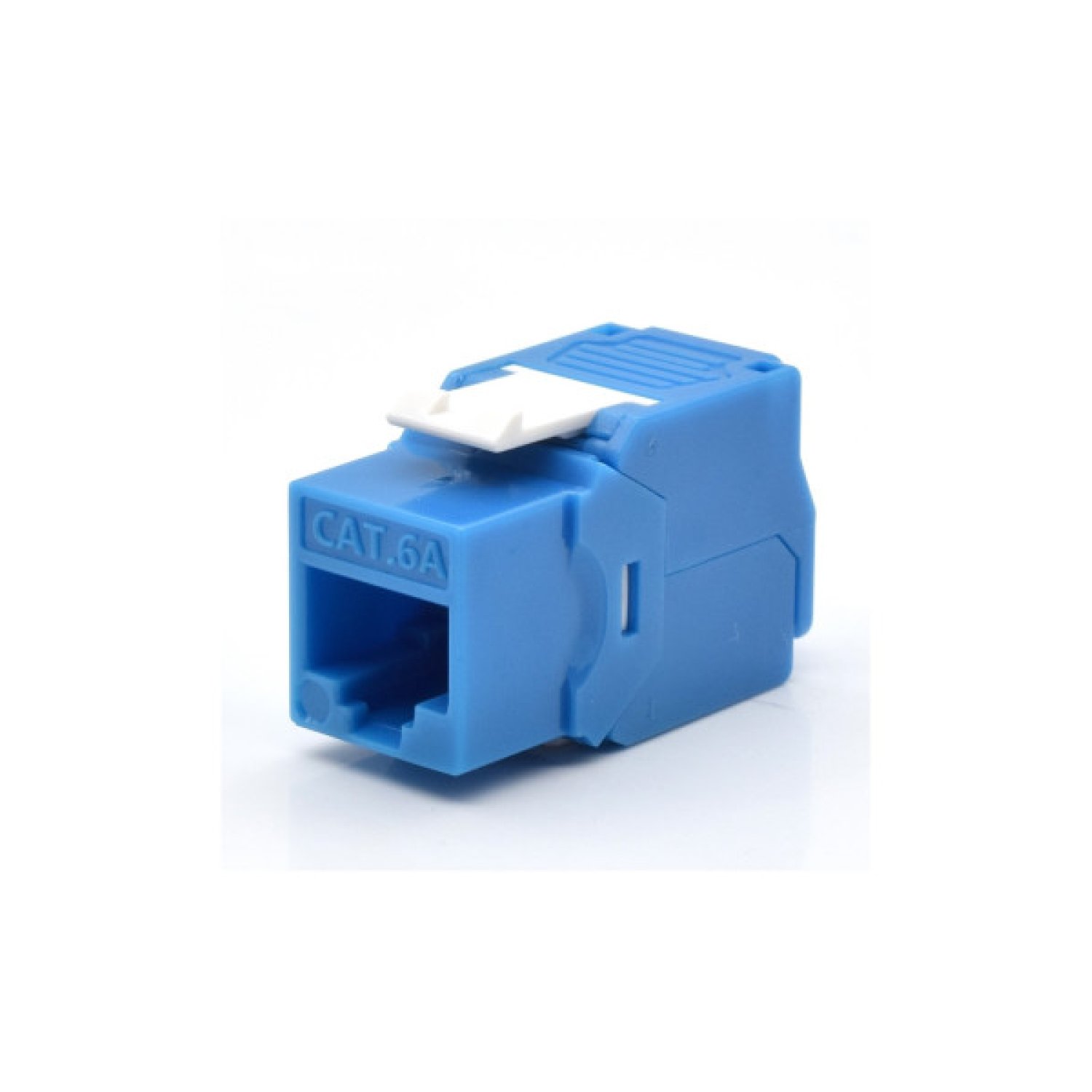 WP WPC-KEY-6AUP-TL/B módulo de conector de red