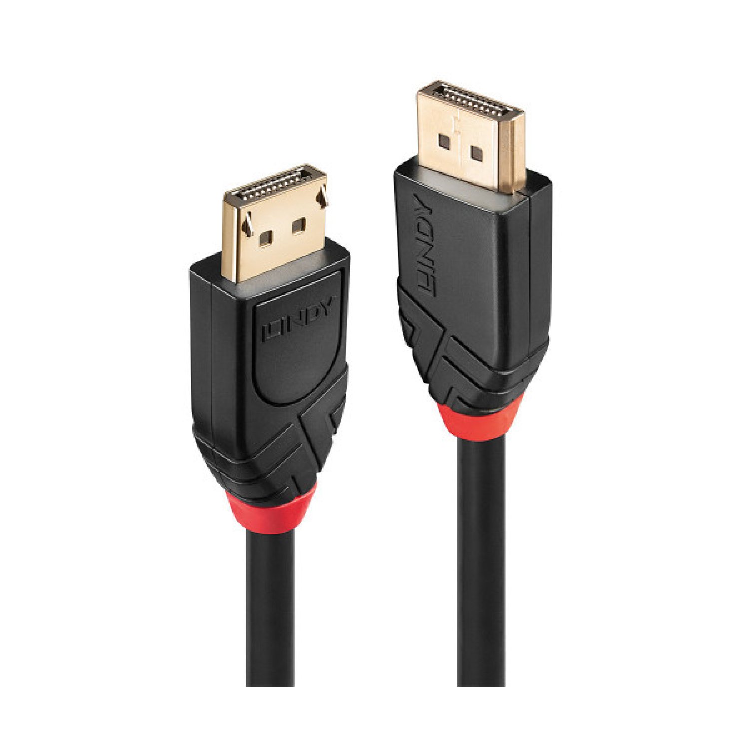 Lindy 41078 cable DisplayPort 10 m Negro
