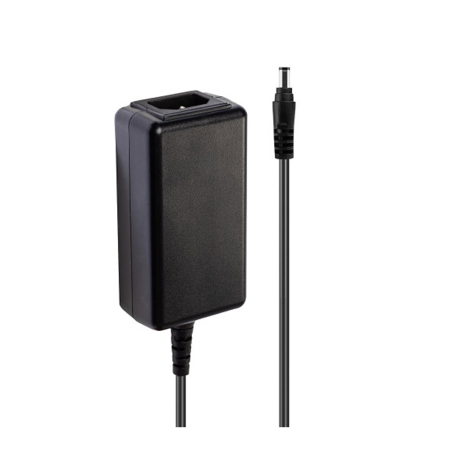 Lindy 73817 adaptador e inversor de corriente Interior 20 W Negro