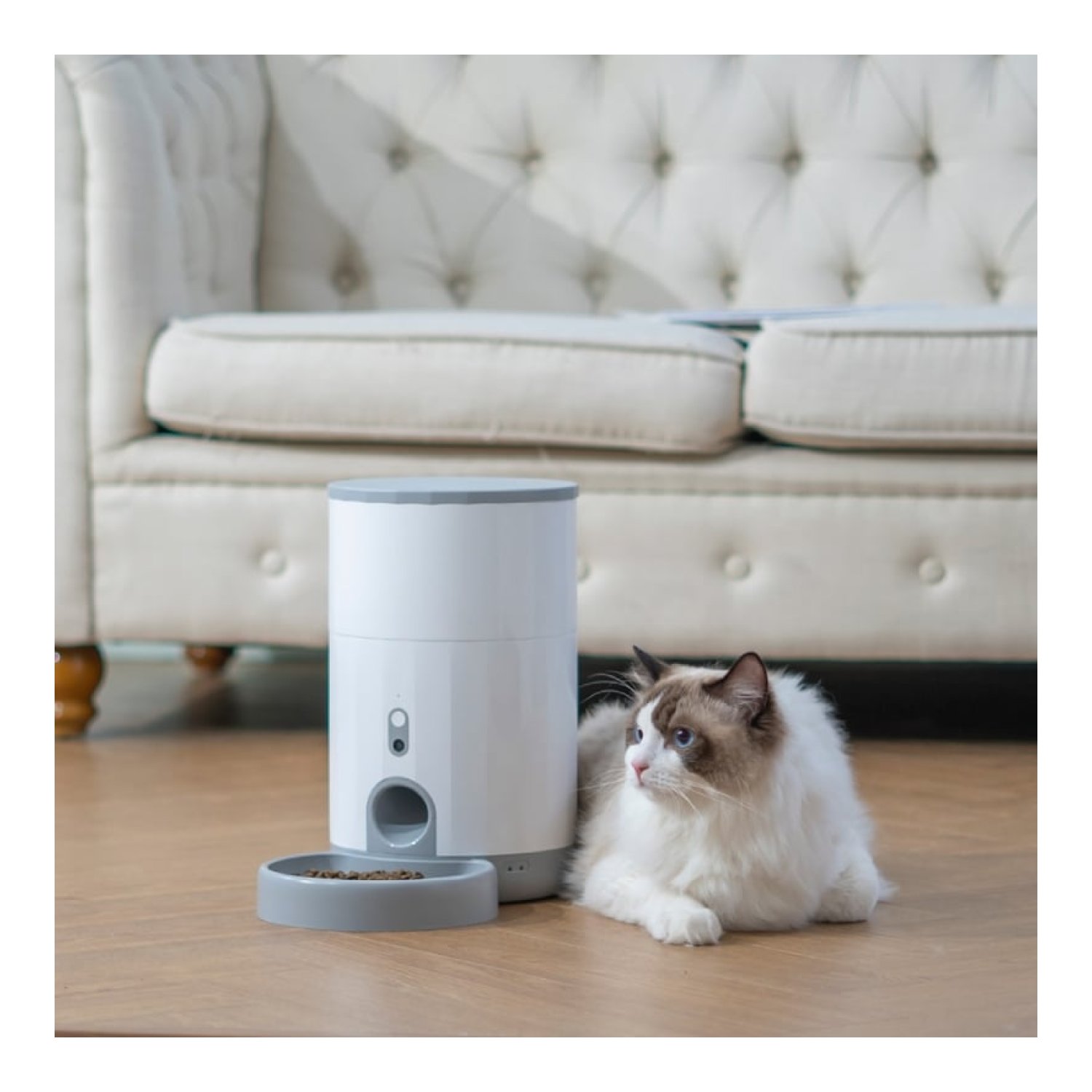 Comedero de mascotas Inteligente Petonner Nutri Vision Mini/ 2.6L/ Cámara HD
