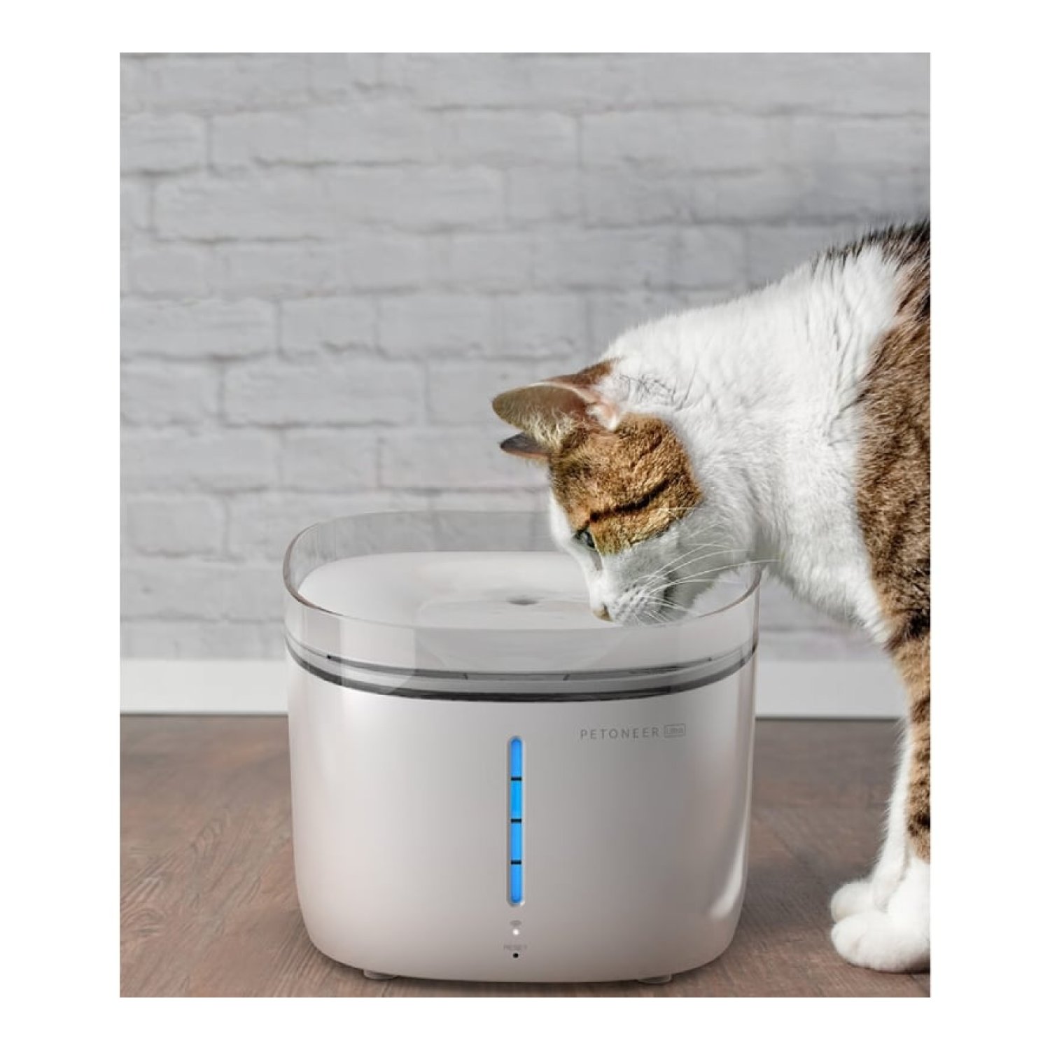 Fuente Inteligente para Mascotas Petonner Fresco Ultra/ 2L/ Control desde APP