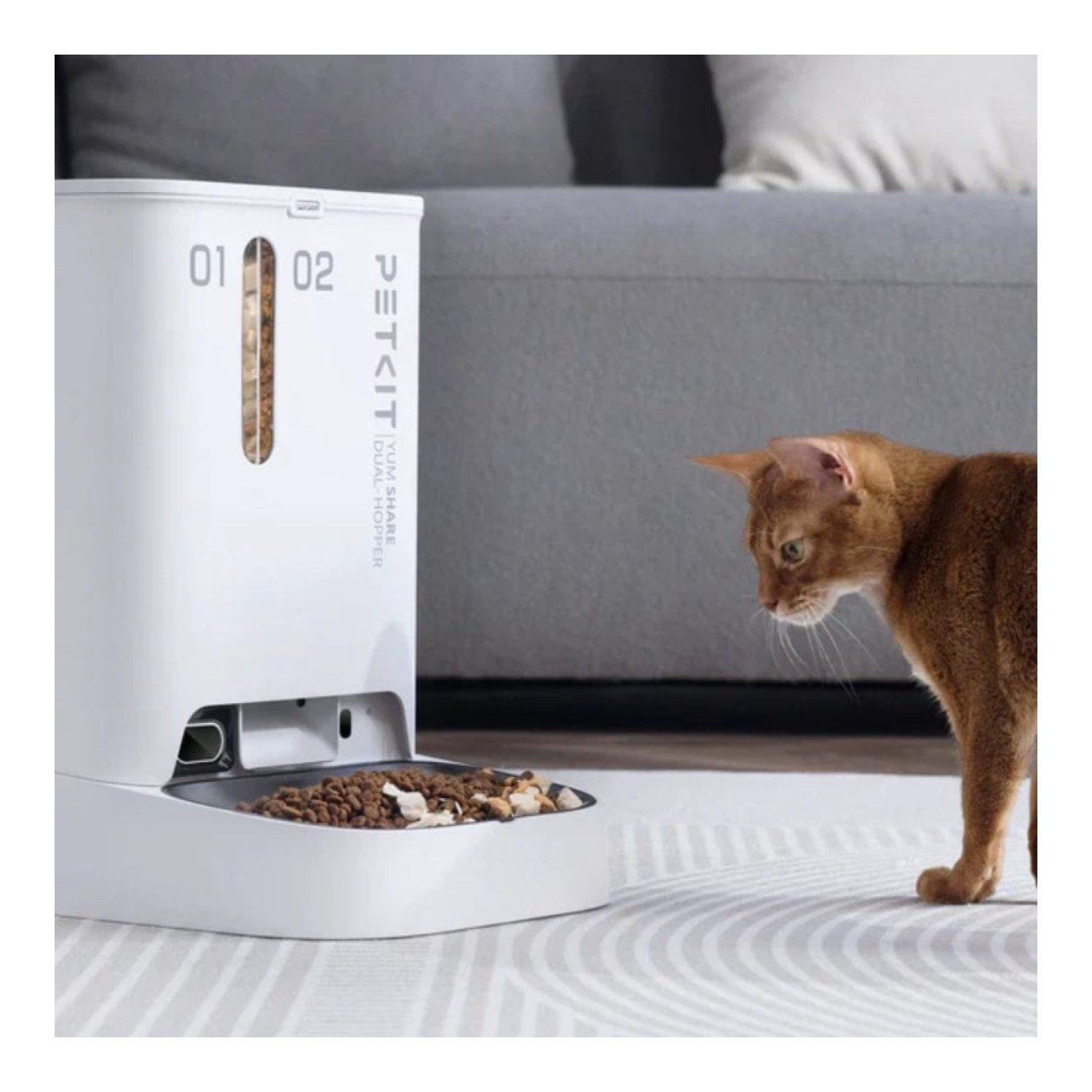 Comedero de mascotas Inteligente PetKit YumShare Dual-Hopper/ Cámara HD/ con Micrófono