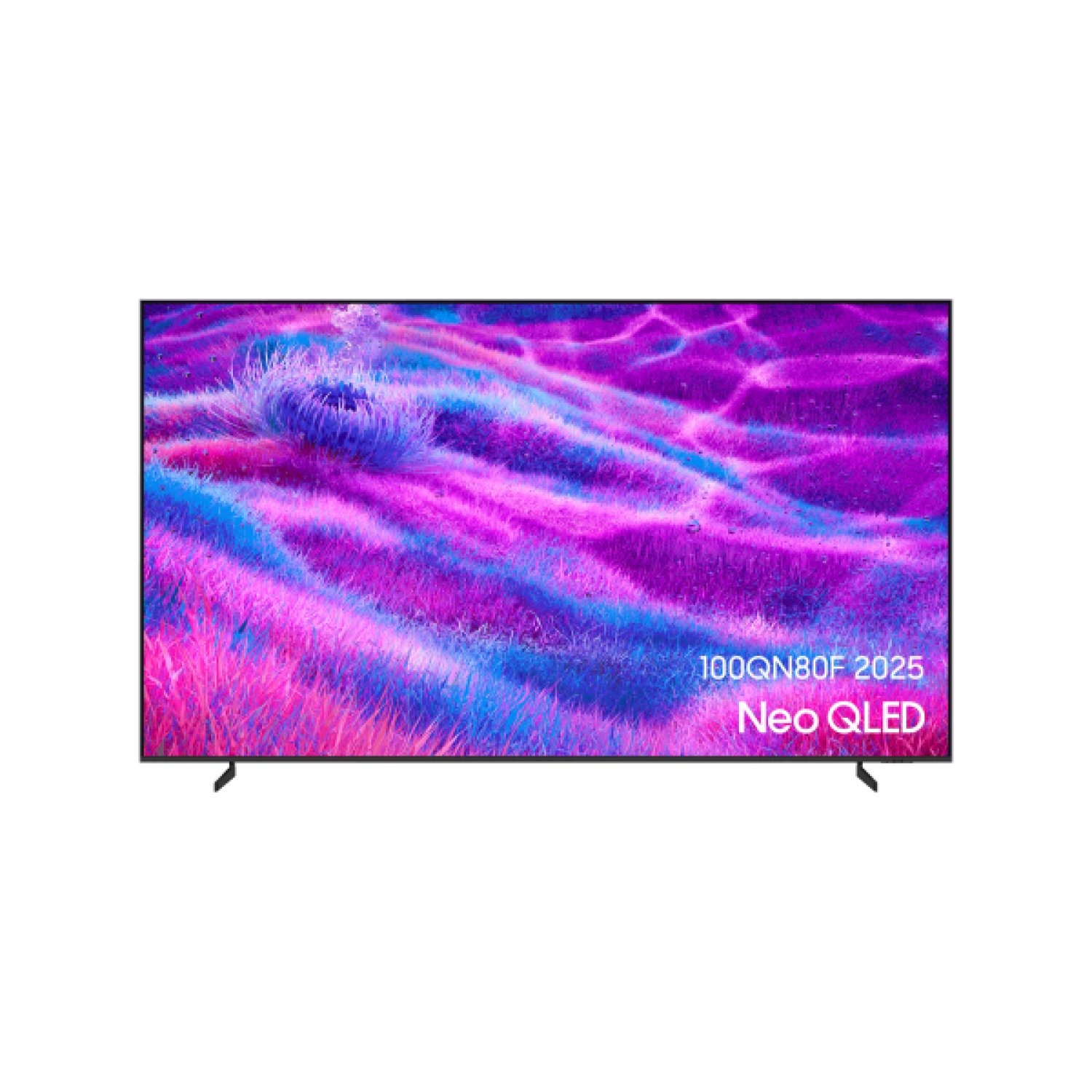 Samsung TQ100QN80FU 2,54 m (100") 4K Ultra HD Smart TV Wifi Gris