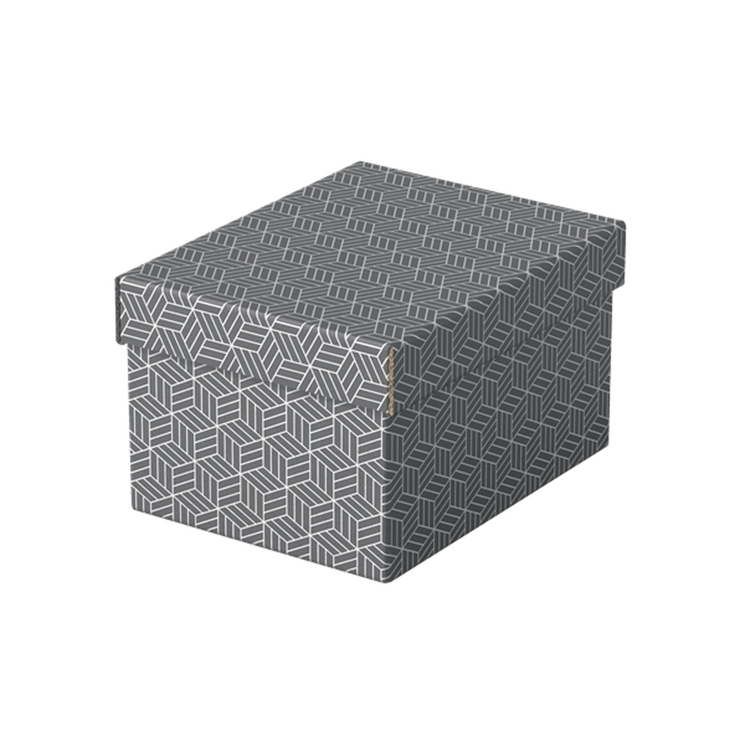PACK 3 CAJAS GRISES 255X200X150MM ESSELTE 628281