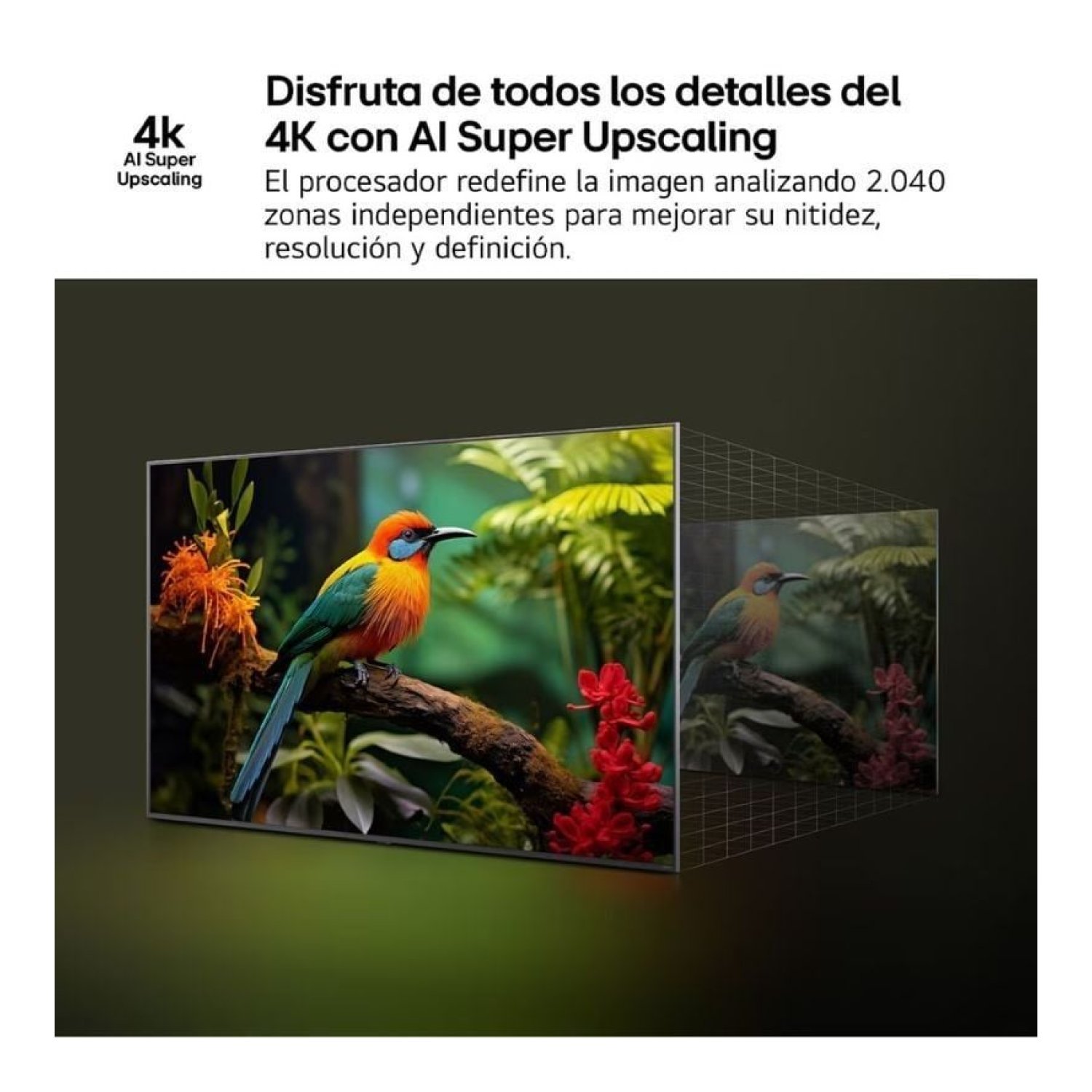 LG QNED · 50" · Ultra HD 4K · Smart TV · WiFi