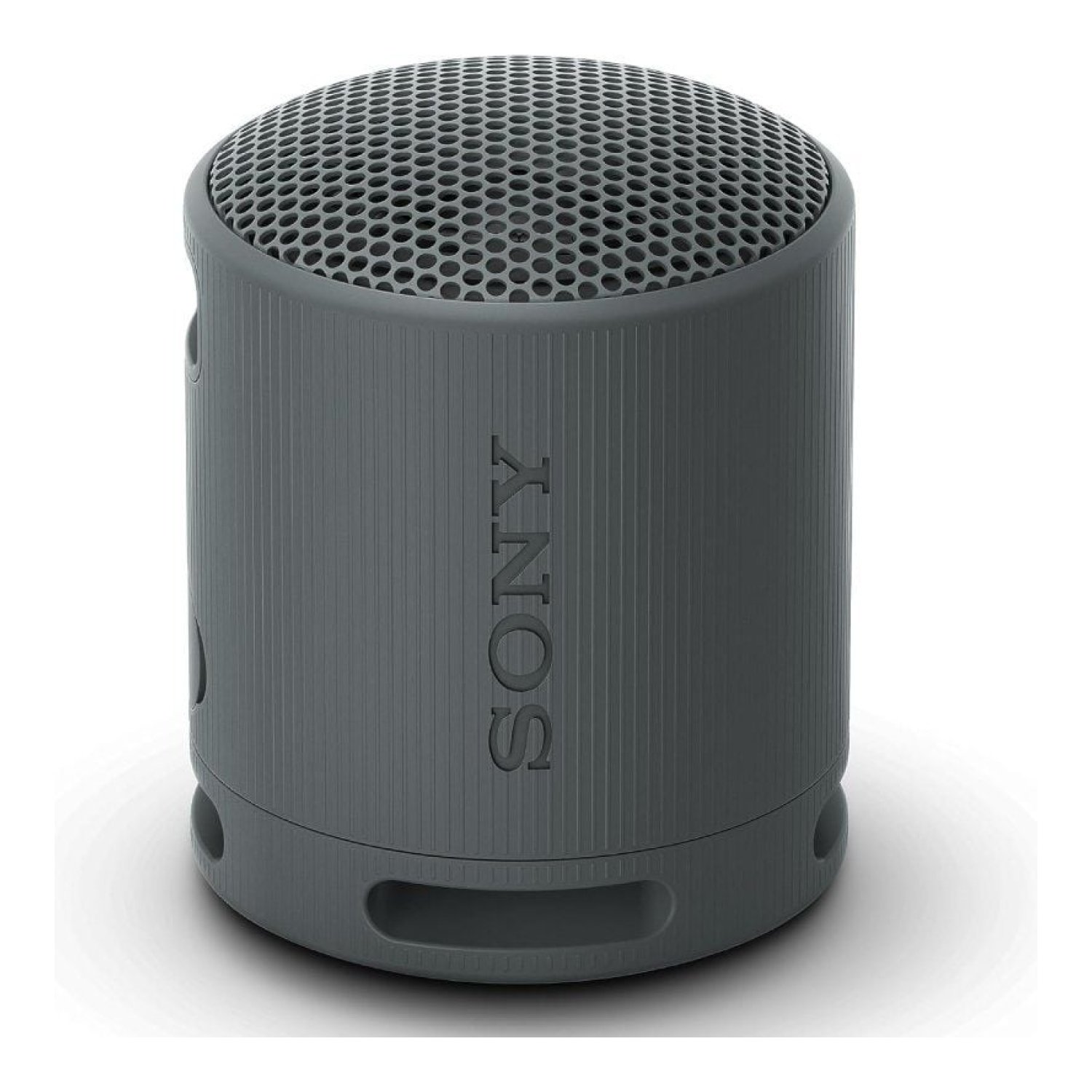 Sony SRS-XB100 · Altavoz Portátil Bluetooth · 2.0 · Negro