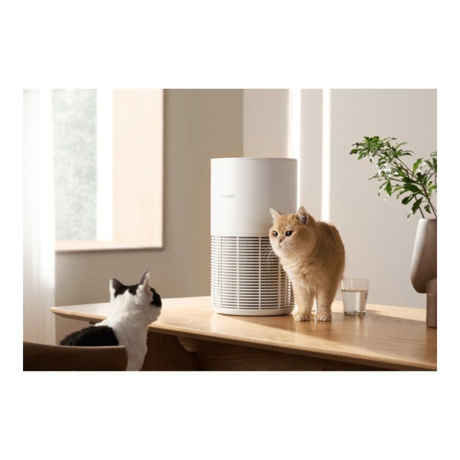 Xiaomi Smart Pet Care · Purificador de Aire · Hasta 27m² · Filtro Alta Eficiencia · 20dB