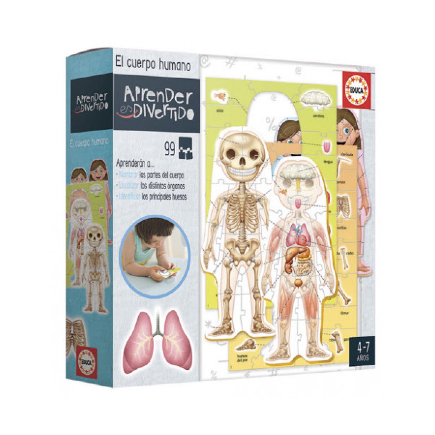 Educa Borrás · El Cuerpo Humano · Juego Educativo