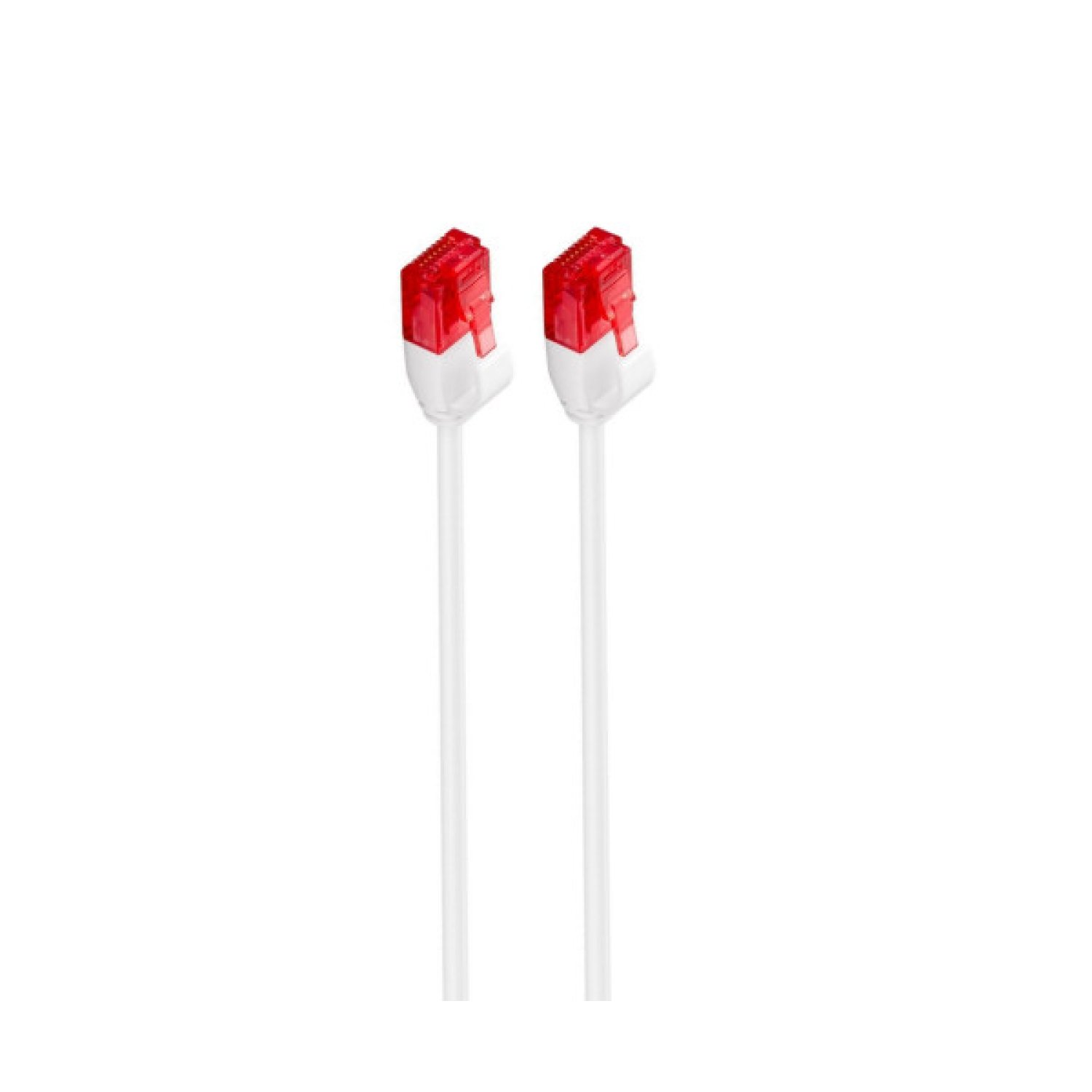 Ewent IM1035 · Cable Red Cat6 U/UTP · 0,25m · Blanco