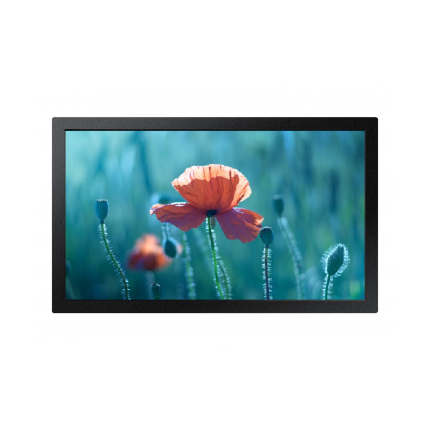Samsung QB13R · Monitor 13" · Full HD · Negro