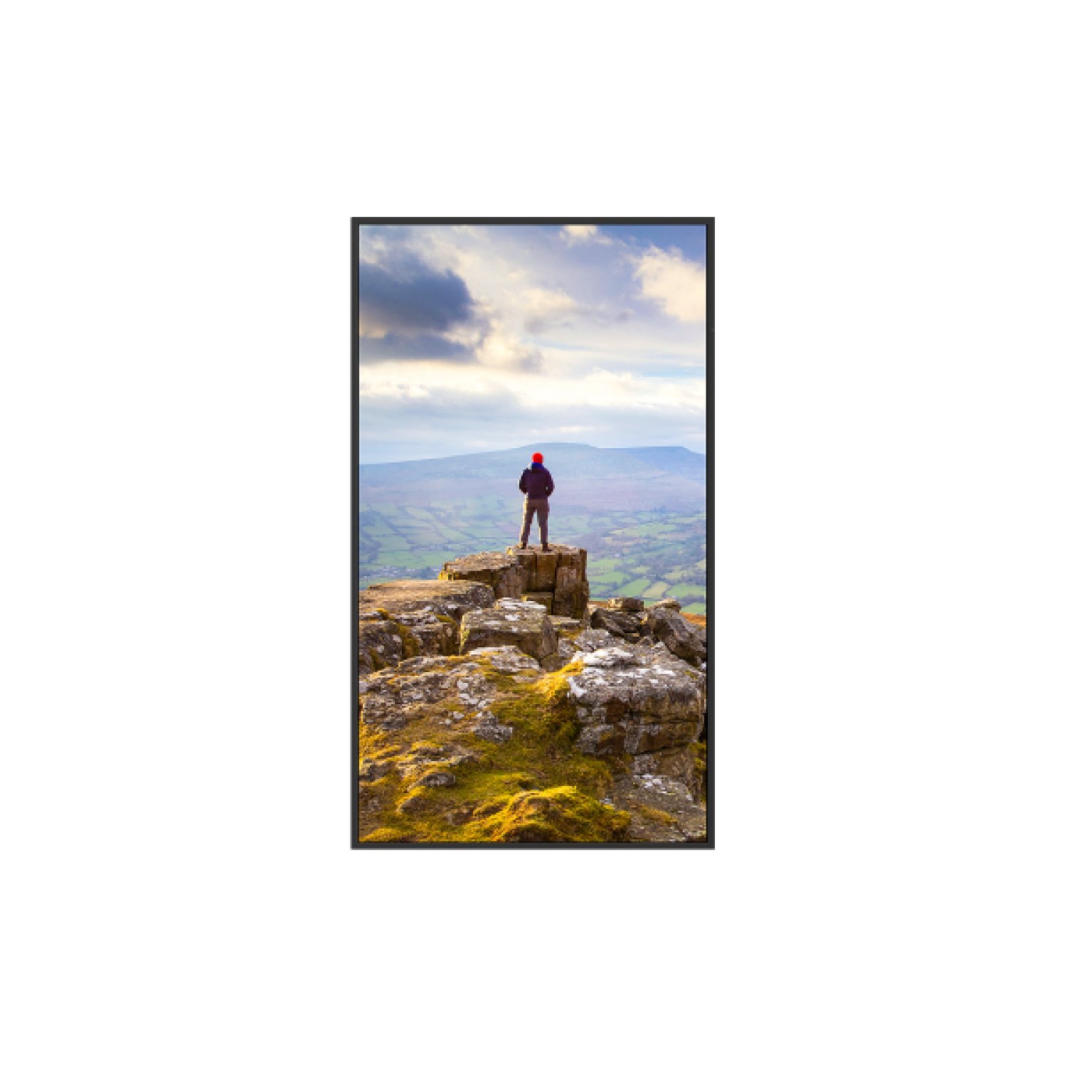 Sharp PN-E439 · Pantalla 43" · LCD 4K Ultra HD · 350 cd/m² · 16/7