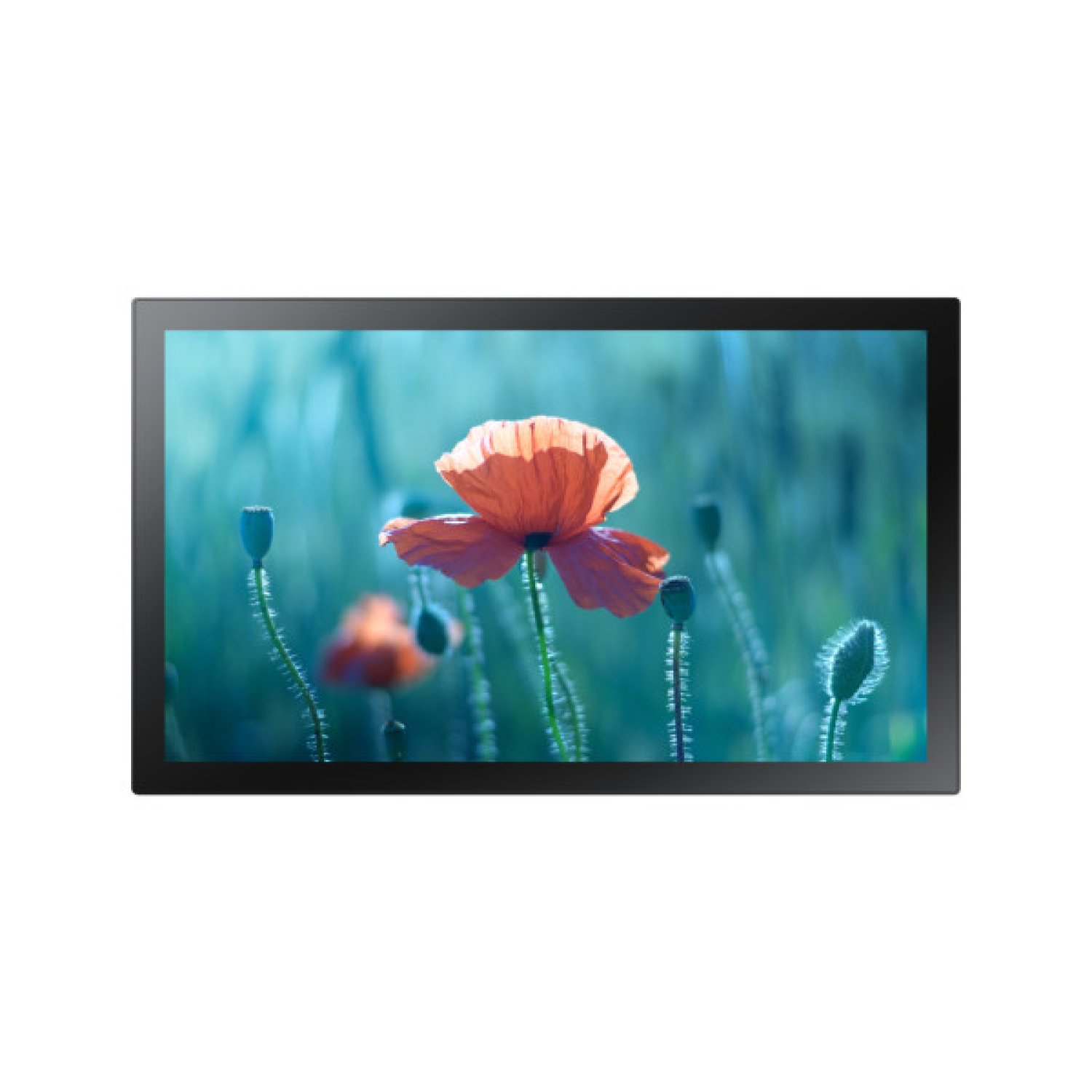 Samsung QB13R · 33 cm · Full HD · Pantalla Táctil · Negro