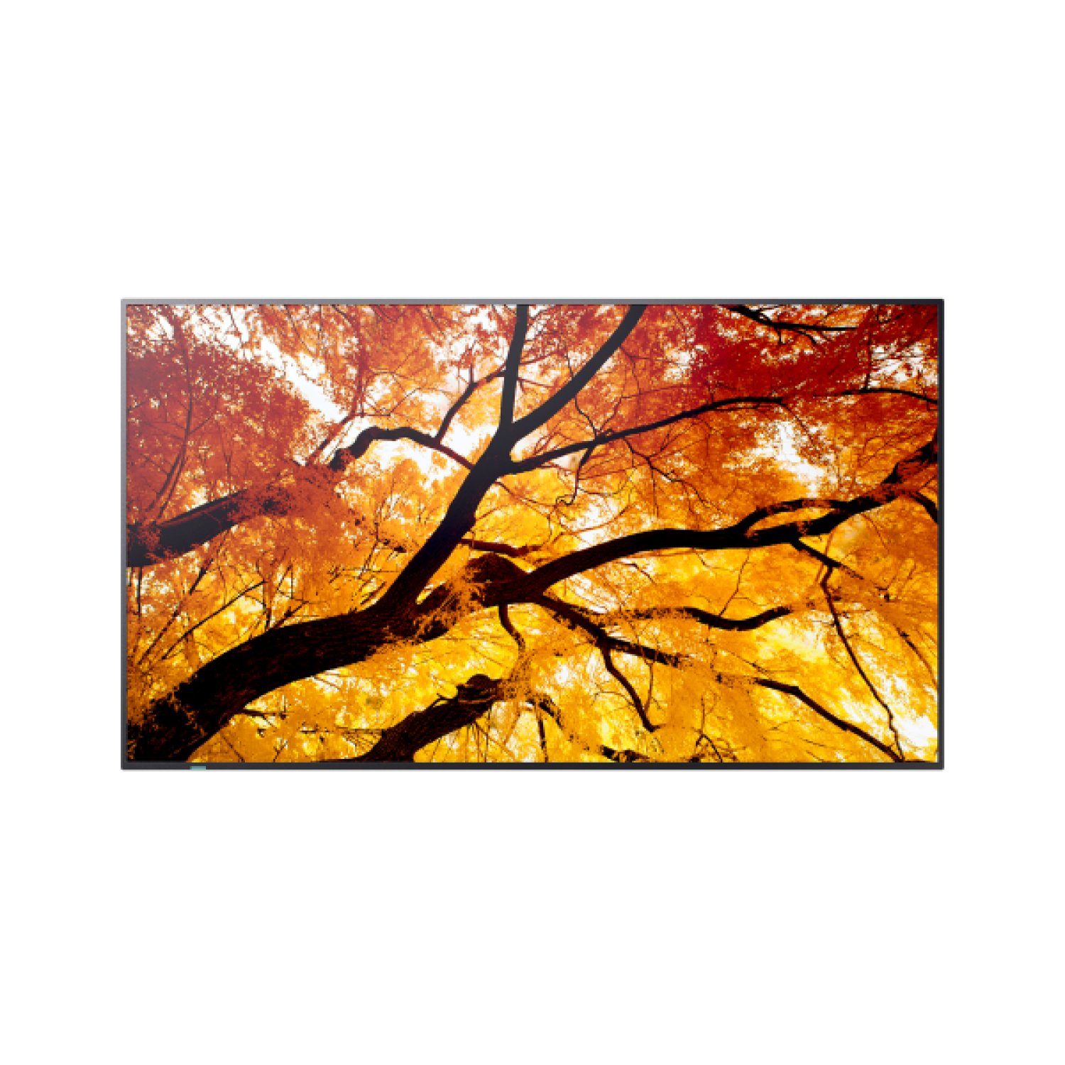 Sharp PN-M862 · Pantalla 86" · 4K UHD · 550cd/m² · LED · 24/7 · SDM Slot