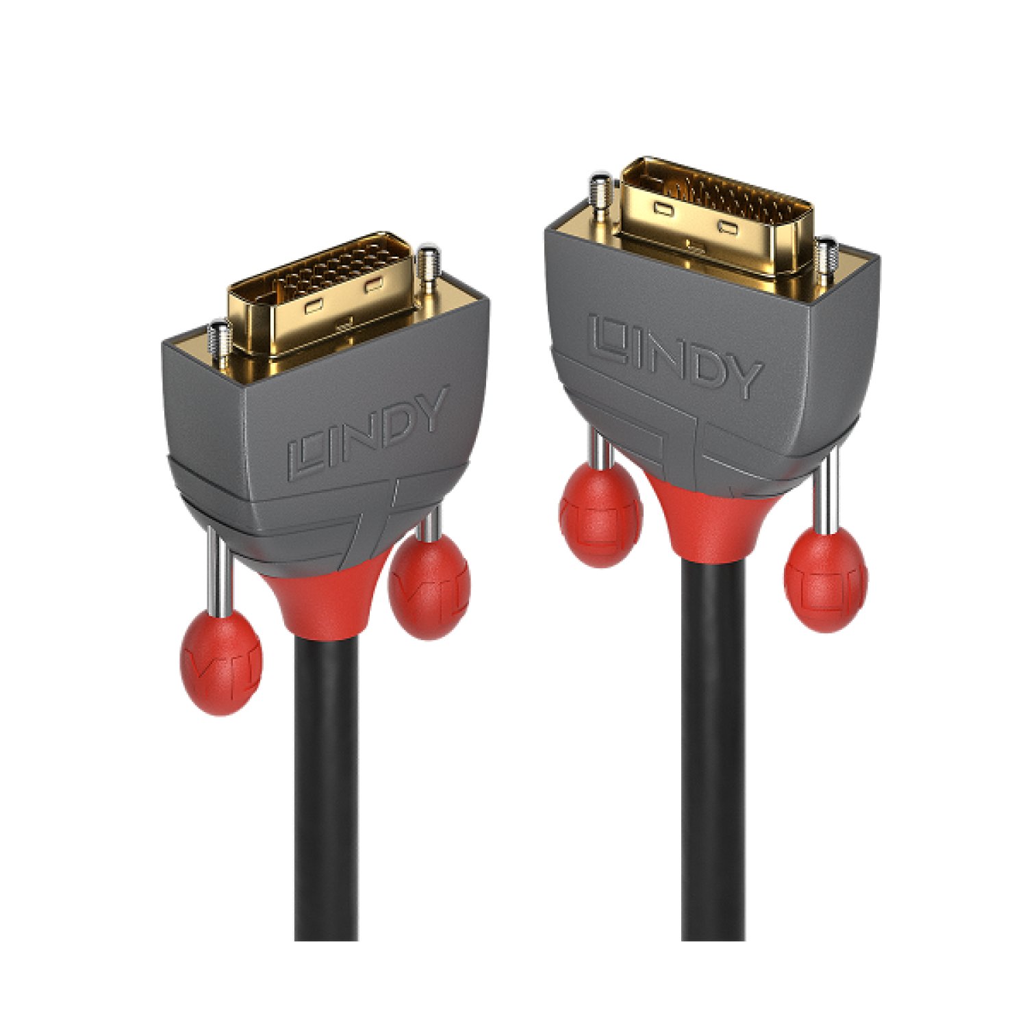 Lindy · Cable DVI-D · 10 metros · Negro