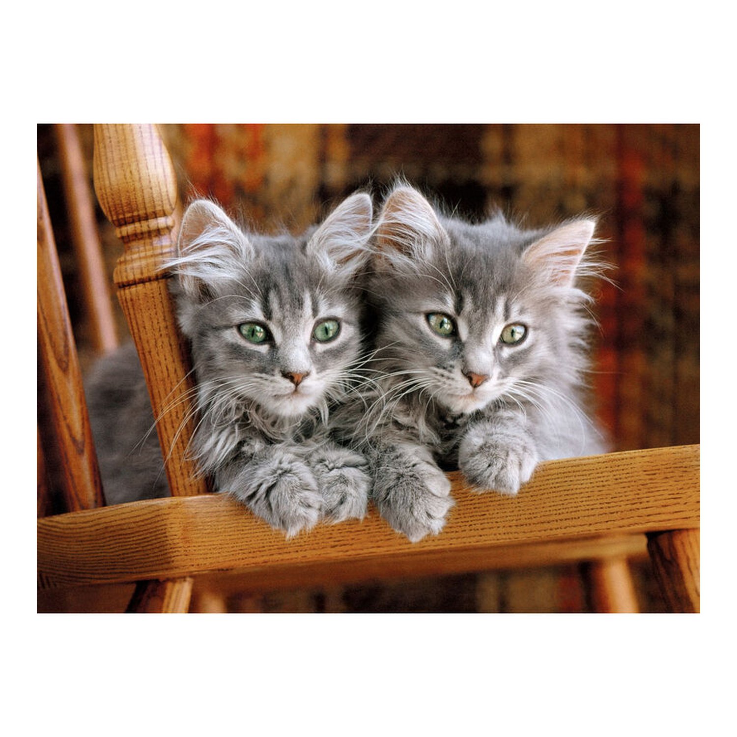 Puzzle Gatitos 500pzs